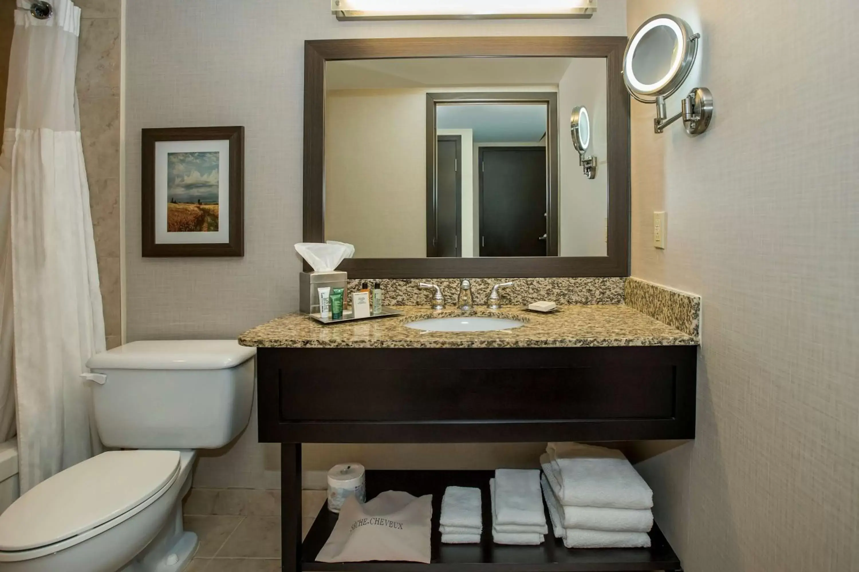 Bathroom in Hilton Winnipeg Airport Suites