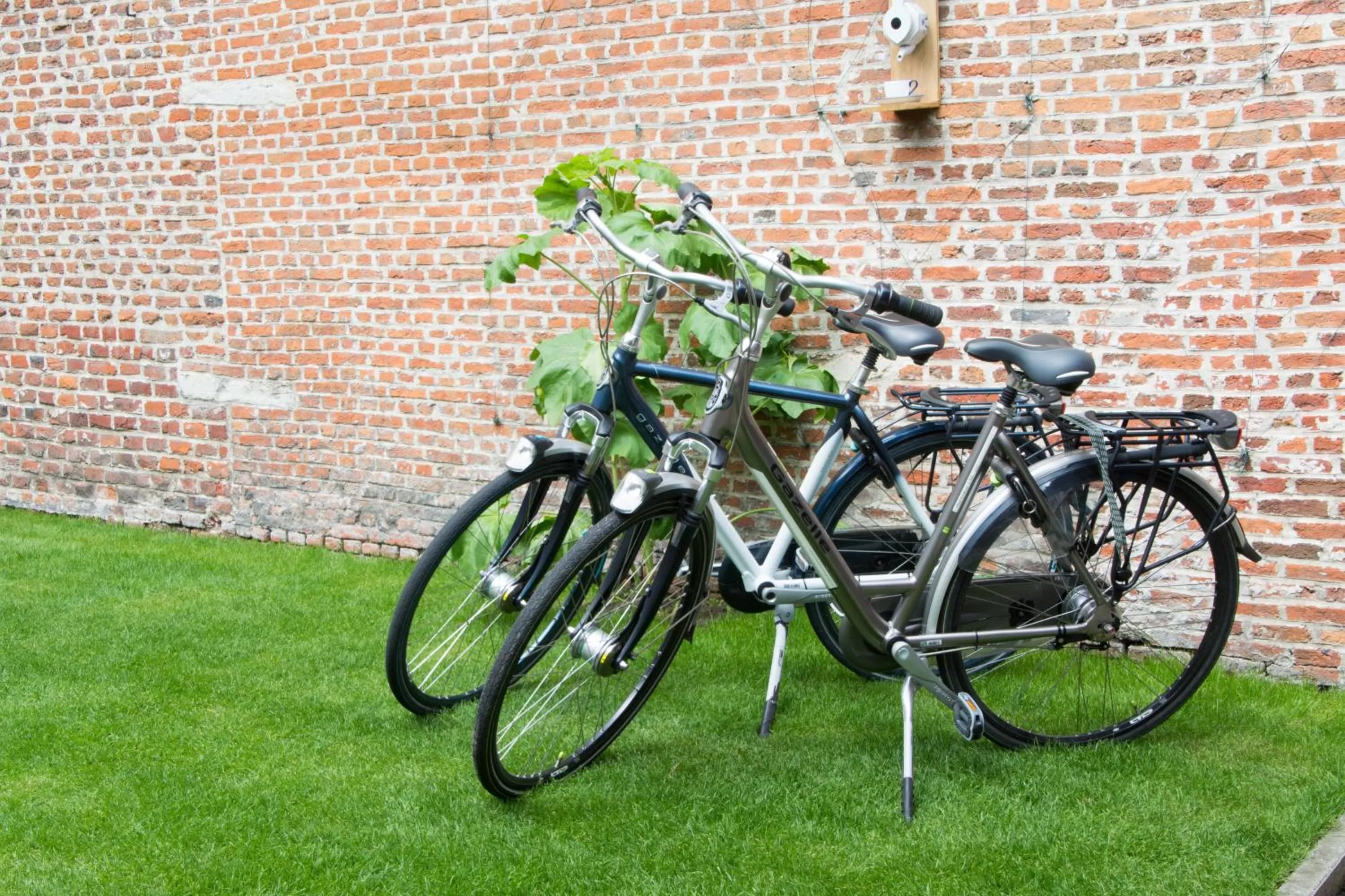 Cycling in B&B De Vrome Vos