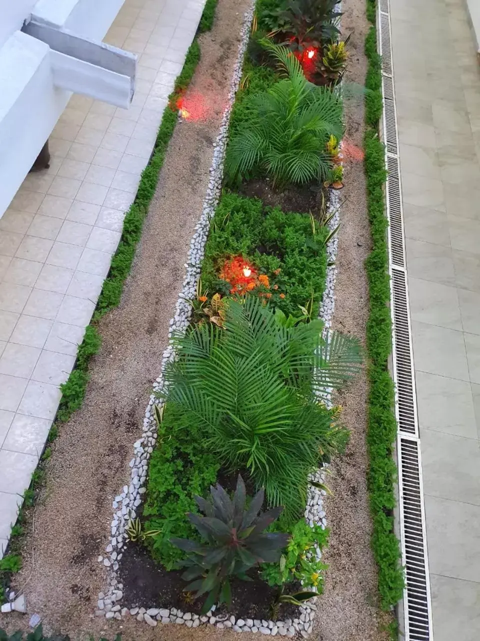 Garden in Hotel Casa Blanca