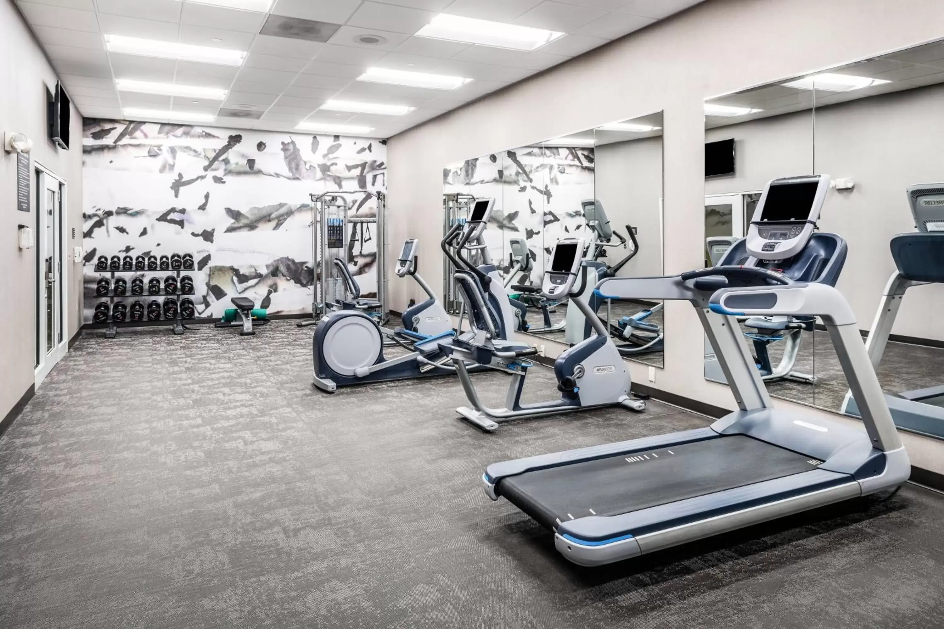 Fitness centre/facilities, Fitness Center/Facilities in Residence Inn Springfield