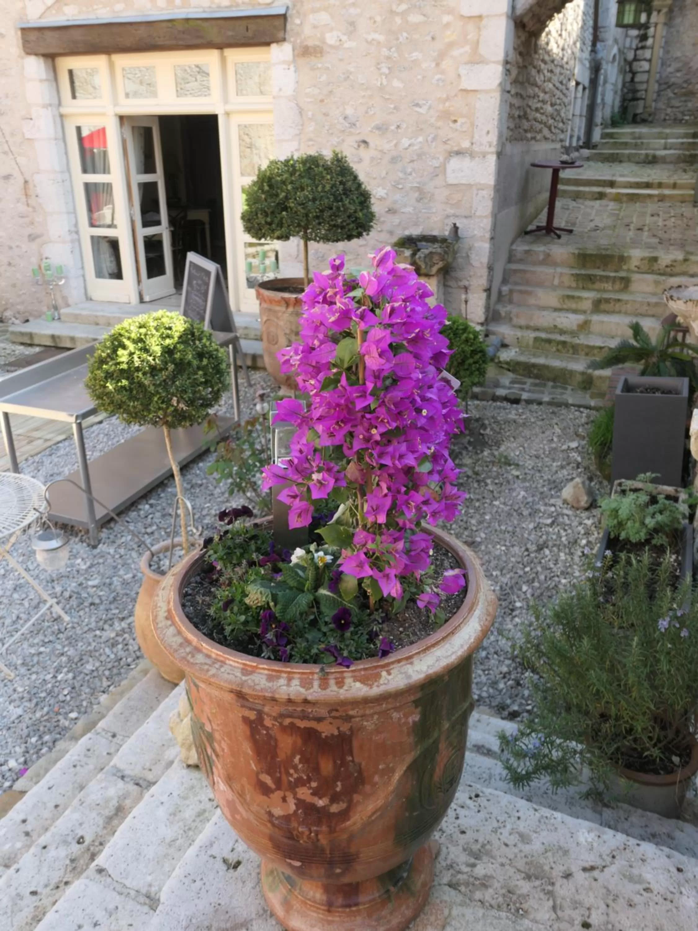 Garden view in Demeure des Vieux Bains