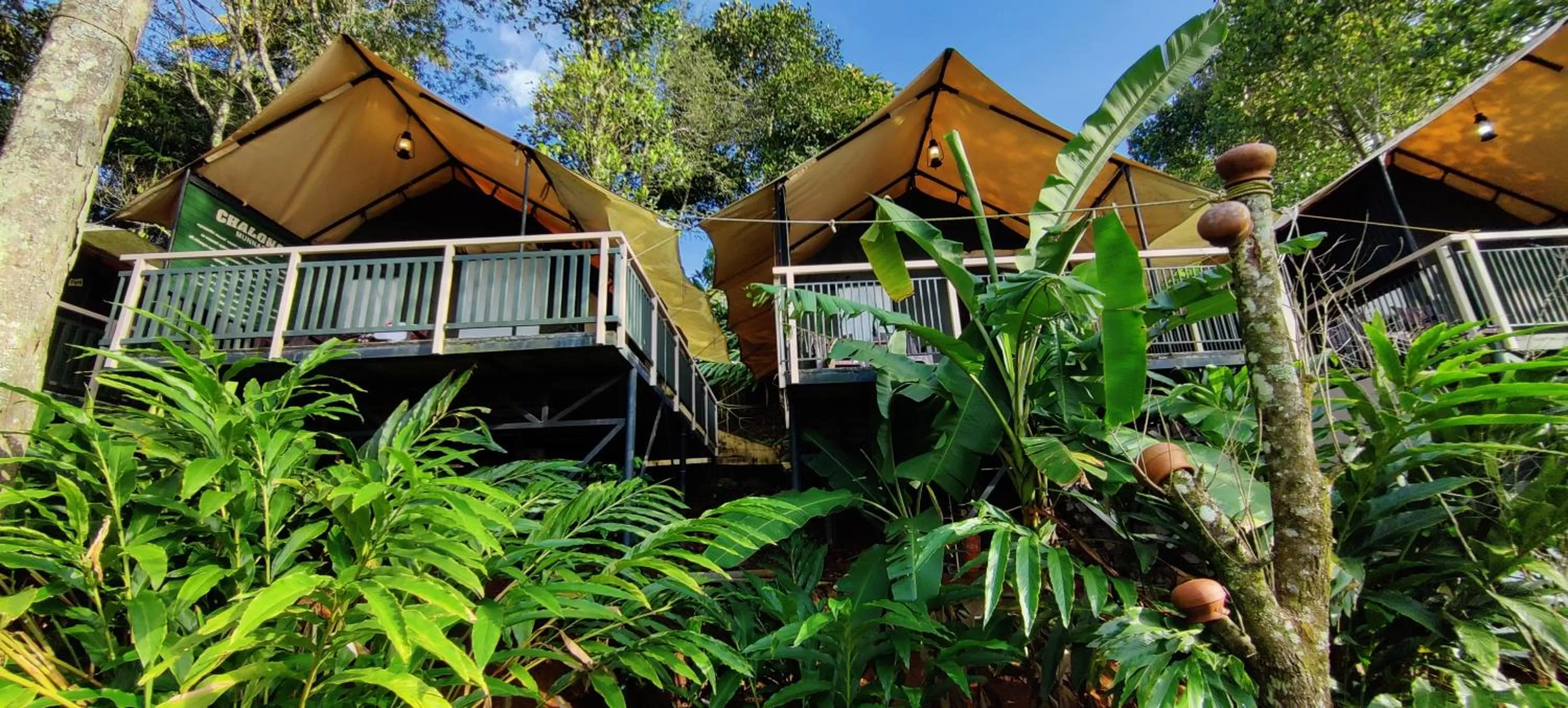 Property Building in Chalona Jungle Vibe