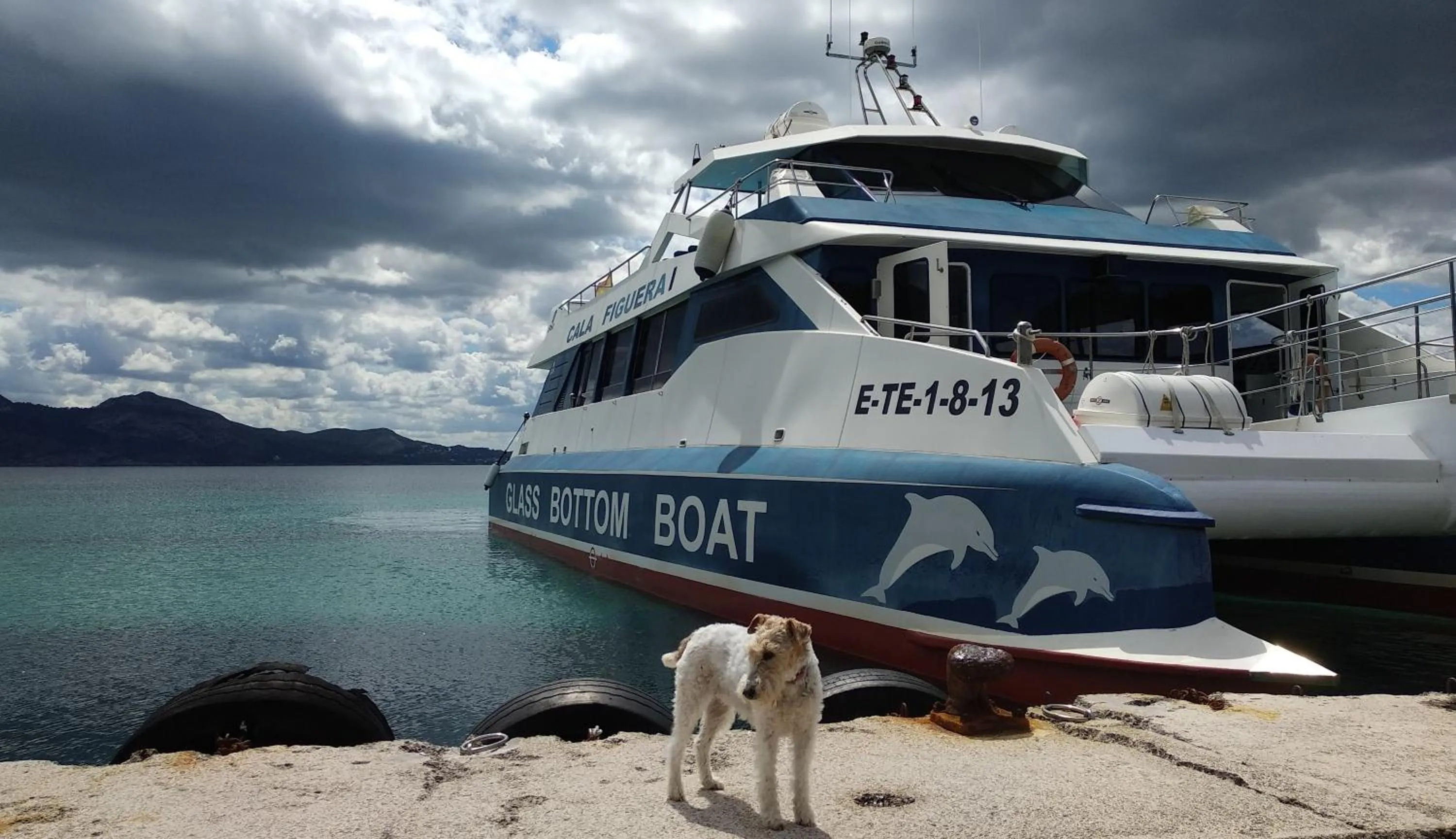 Nearby landmark in Blu Hostal Diana