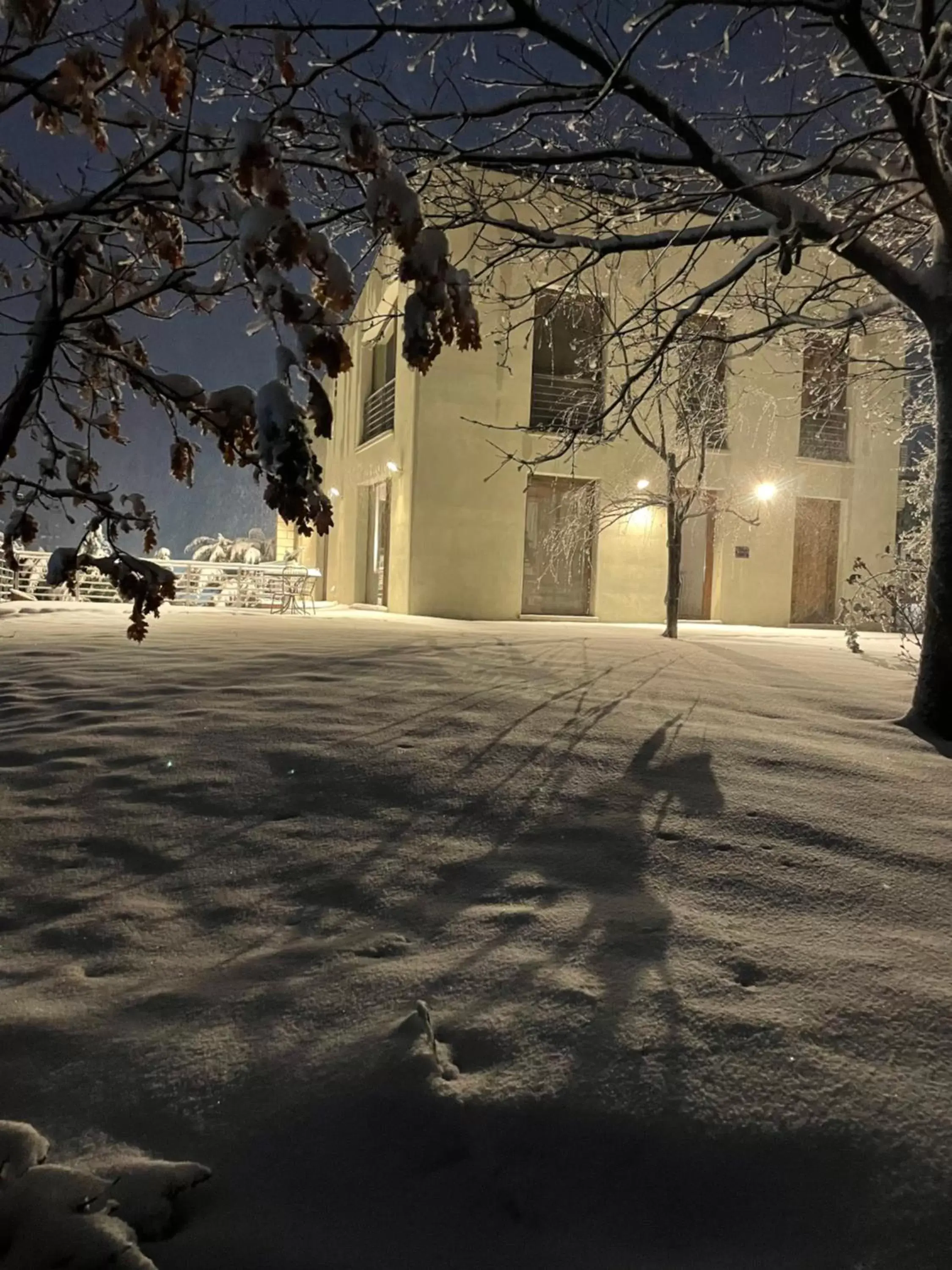 Winter in VIENIACASACCADIA