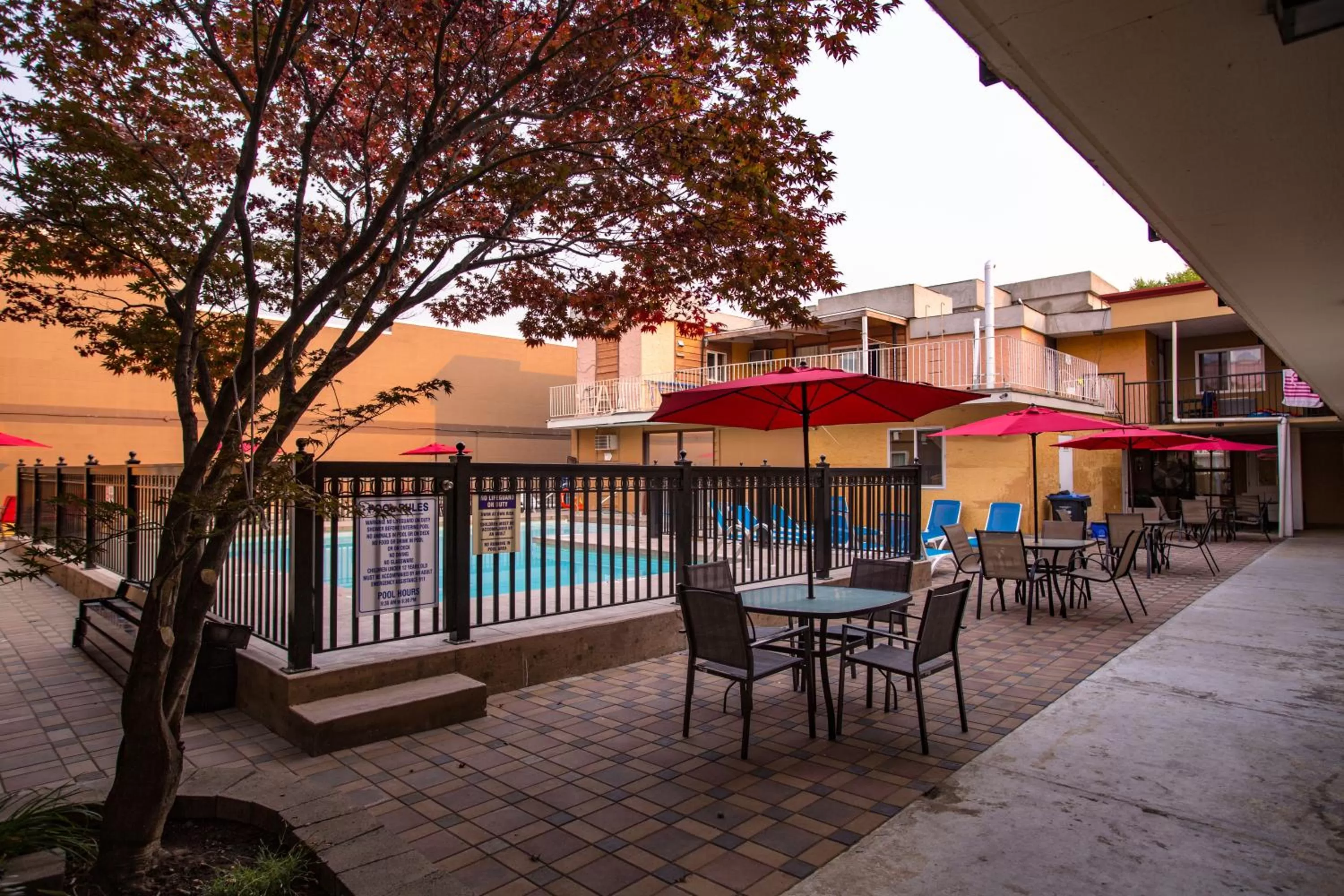 Swimming pool in Sahara Courtyard Inn Penticton