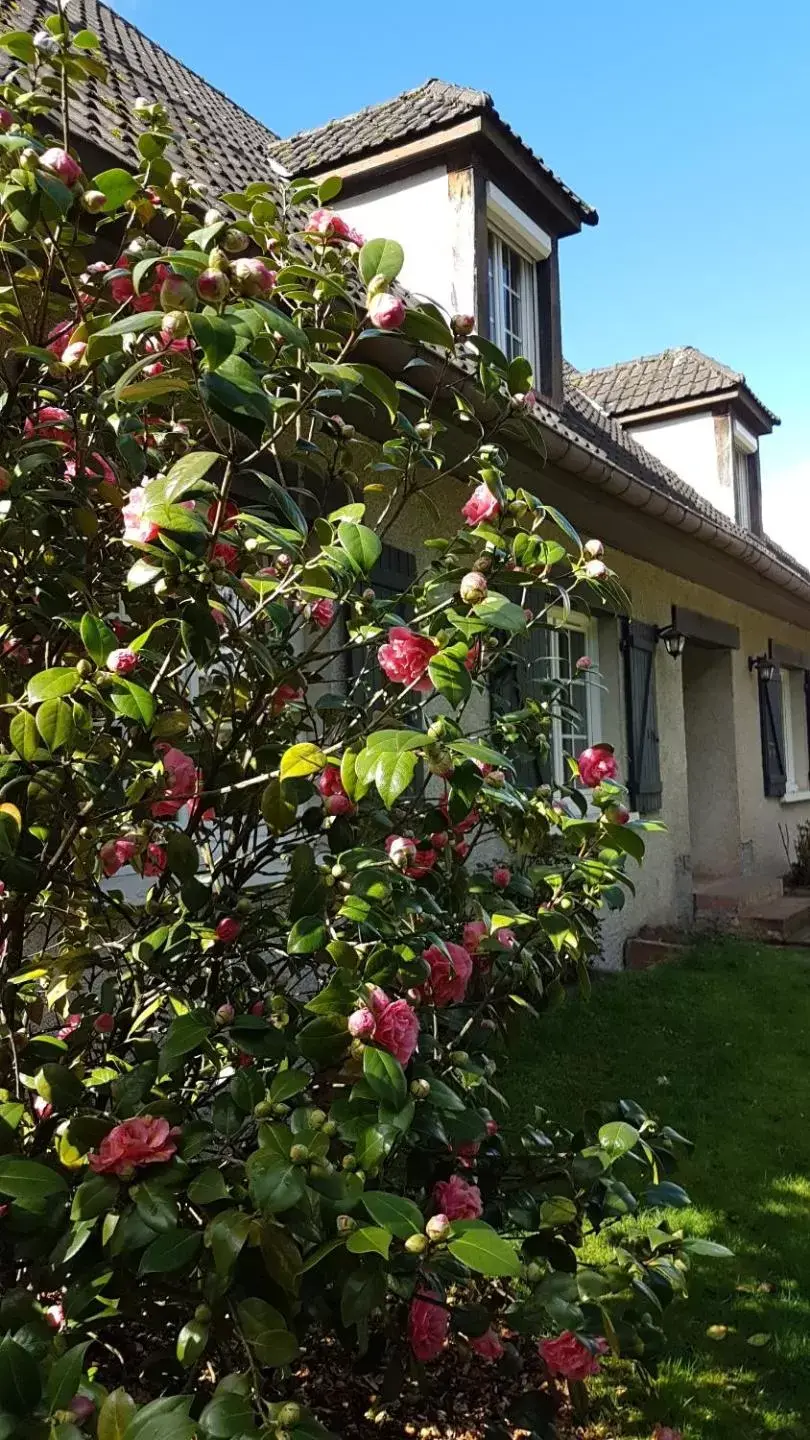 Property Building in Le Clos des Écureuils