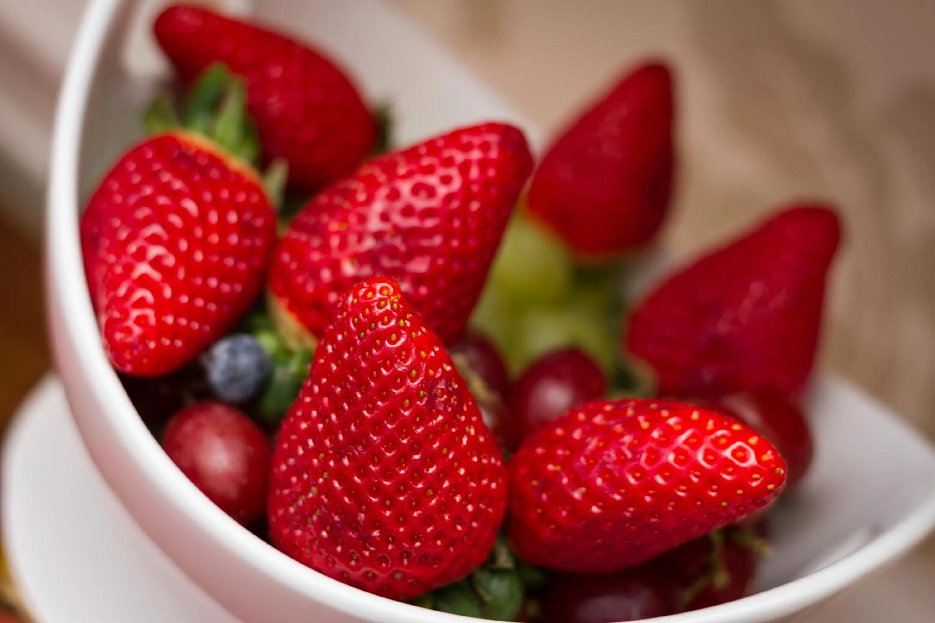 Food close-up in North Crest