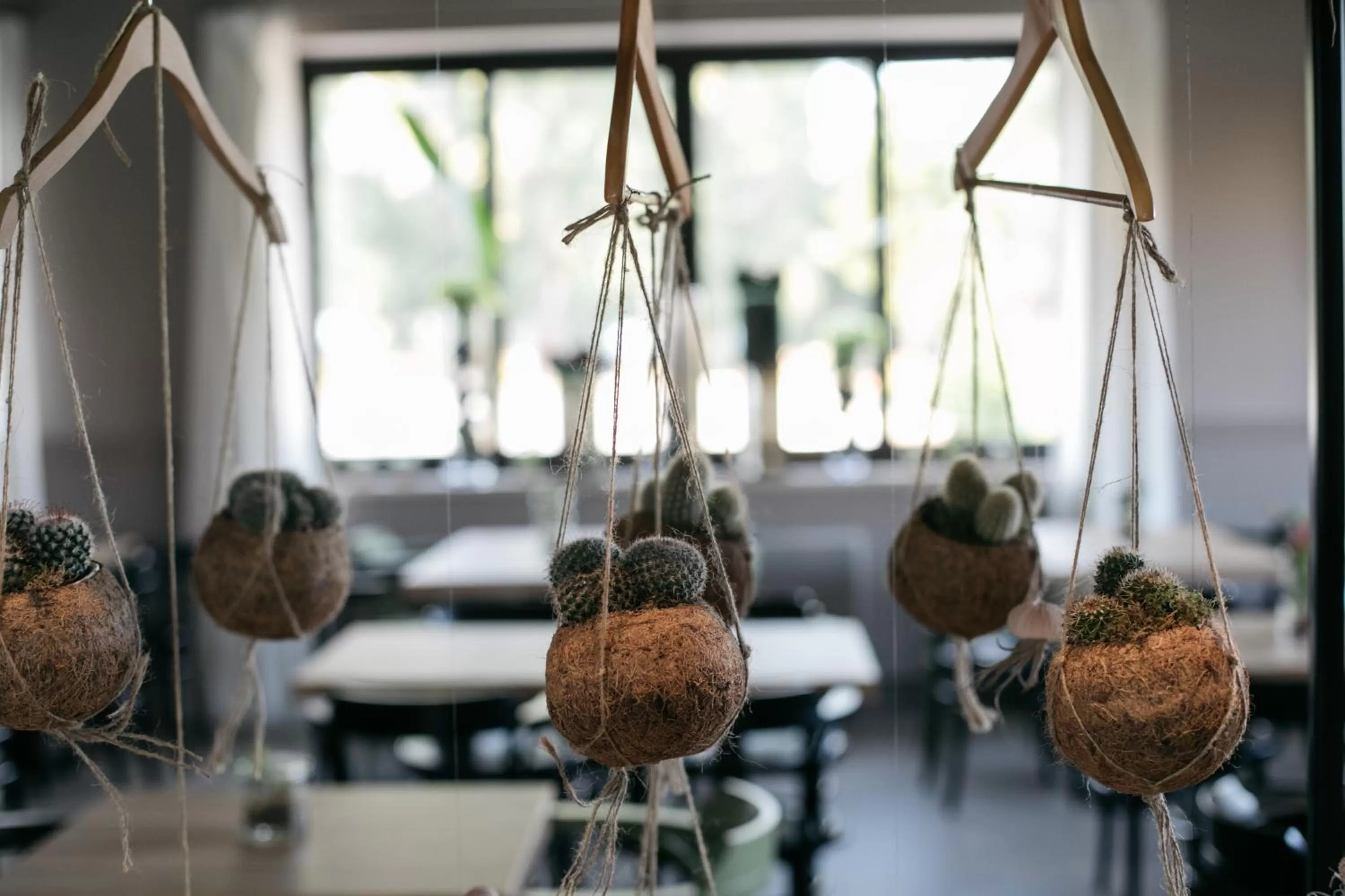 Restaurant/places to eat in Hotel Aloisi