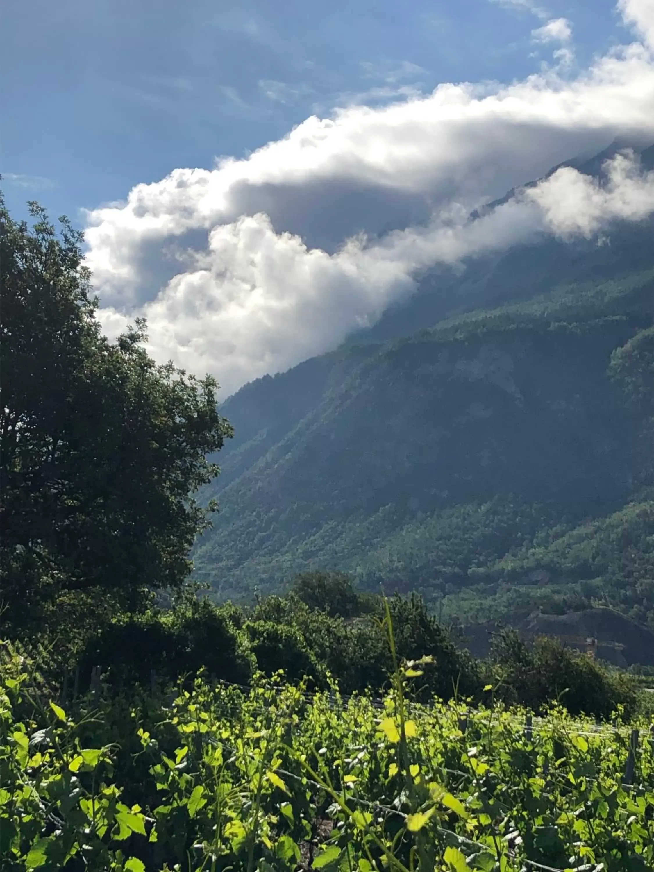 Natural landscape, Mountain View in BnB Chantevent