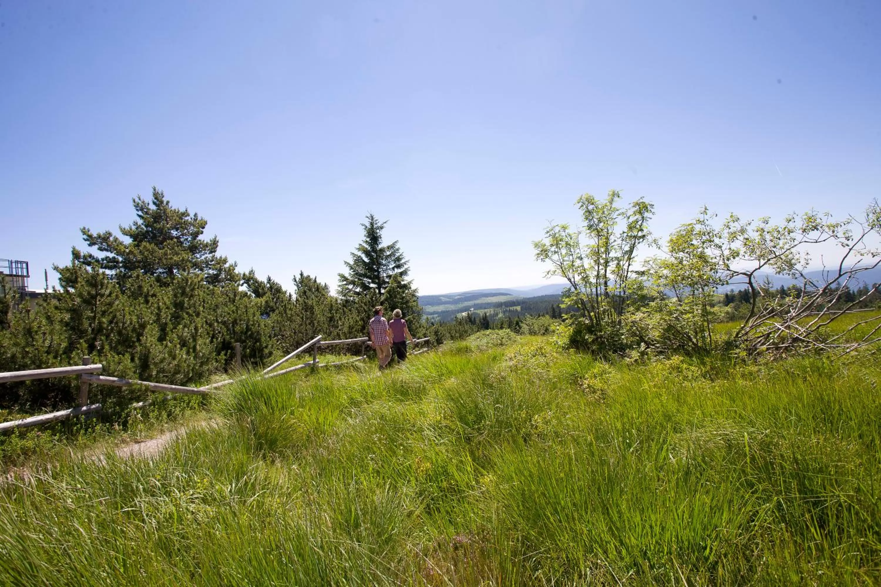 Hiking in Wellness-& Nationalpark Hotel Schliffkopf, BWSC