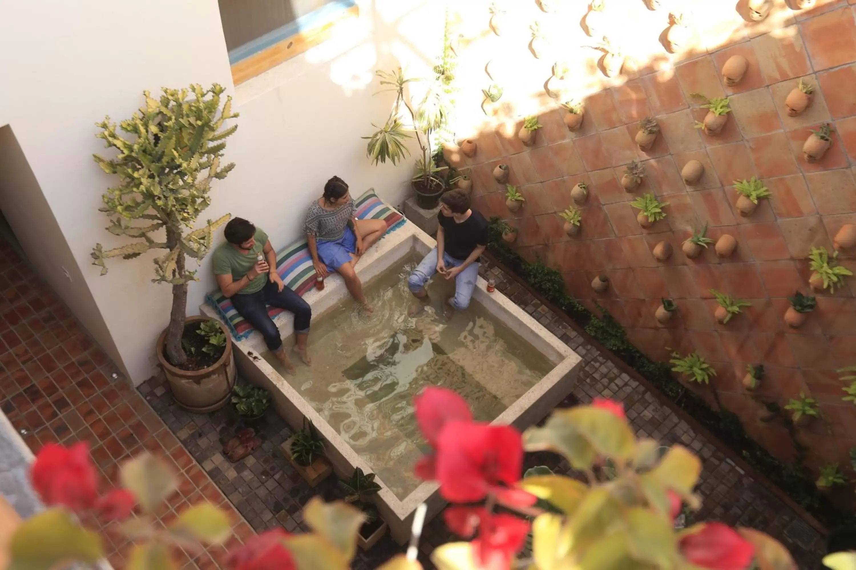 Swimming pool in Casa Morelos by Barrio Mexico