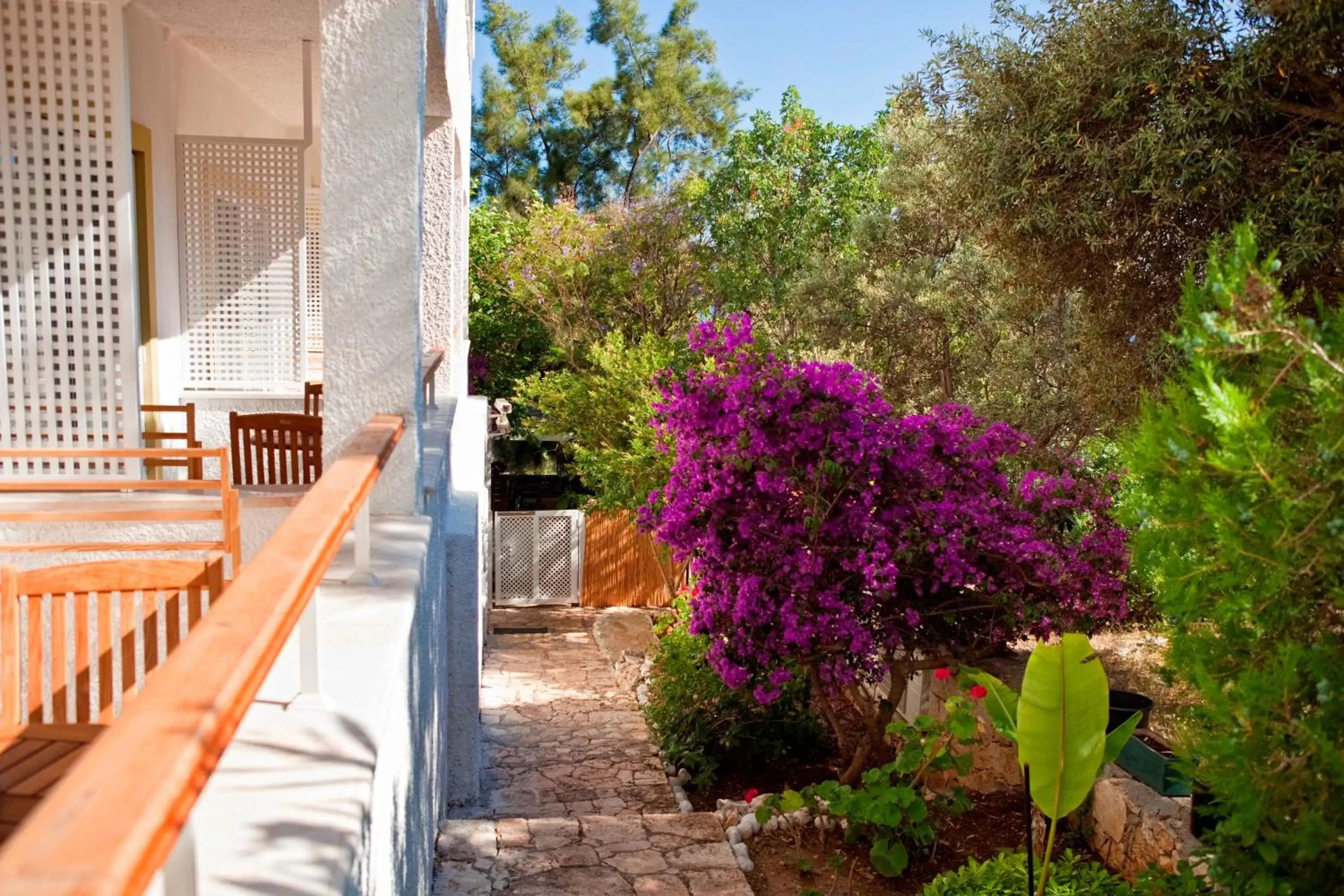 Balcony/Terrace in Olea Nova Hotel