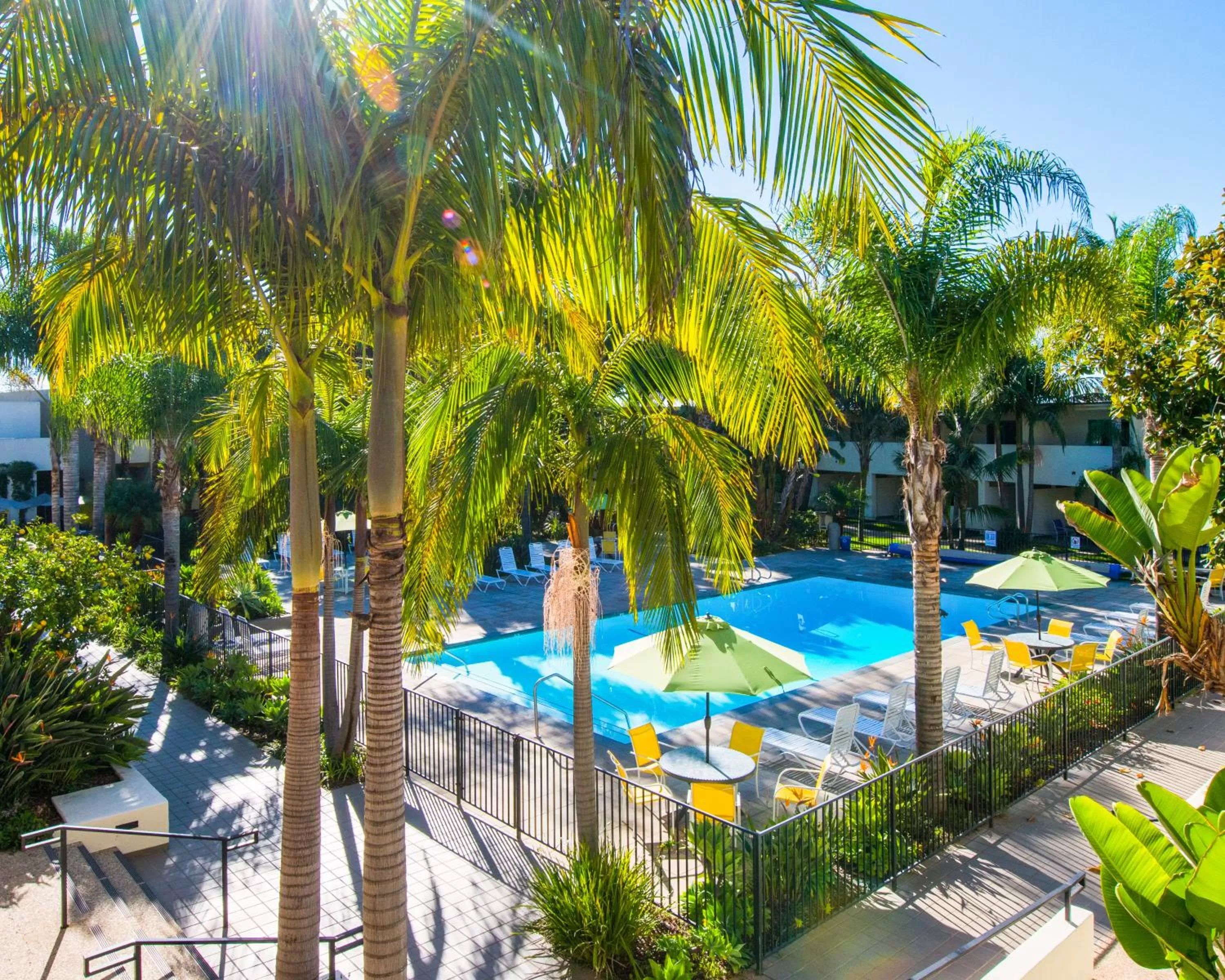 Swimming pool in Lemon Tree Inn