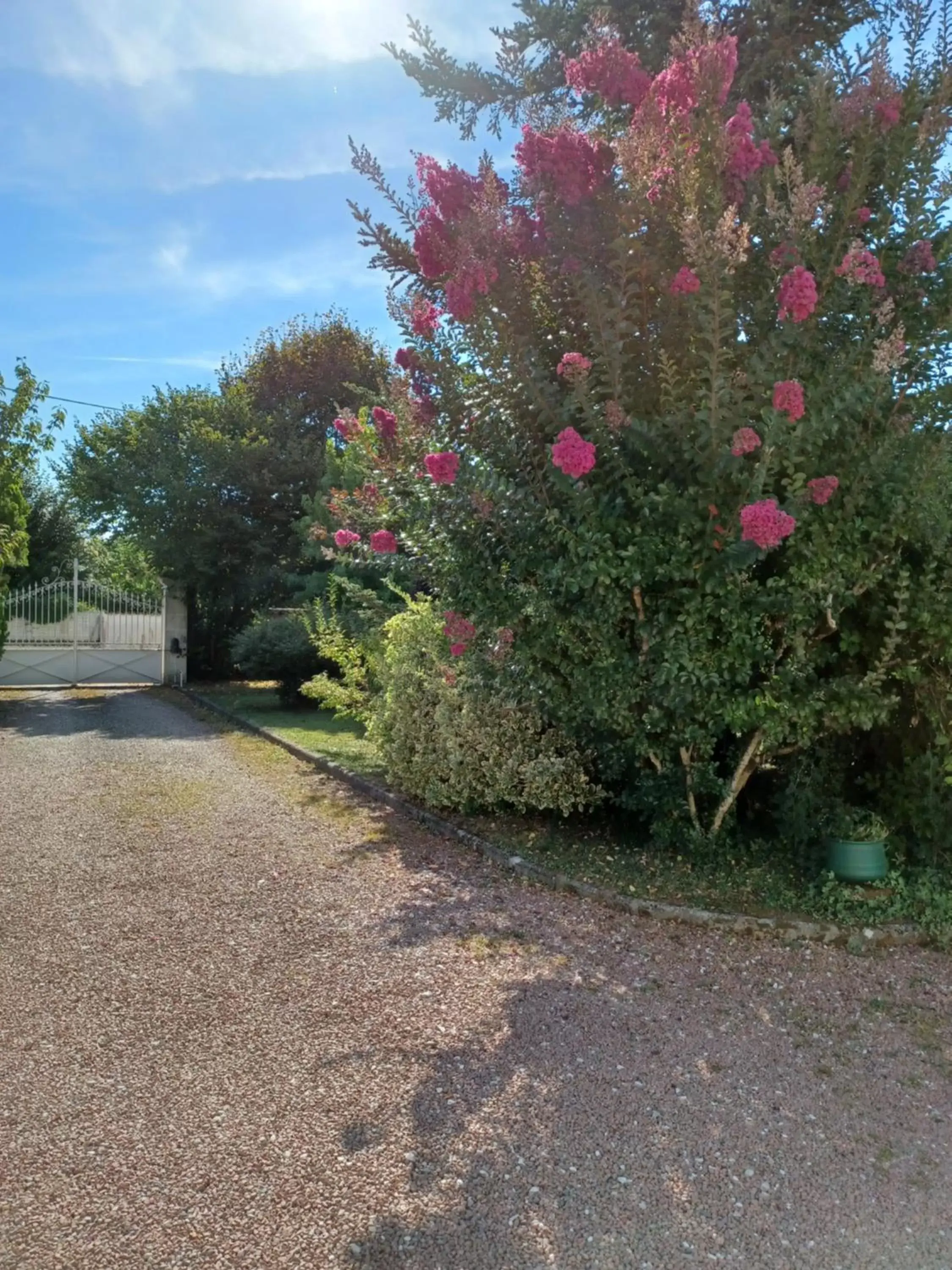 Garden view, Garden in Chambre d’hôtes des tourterelles