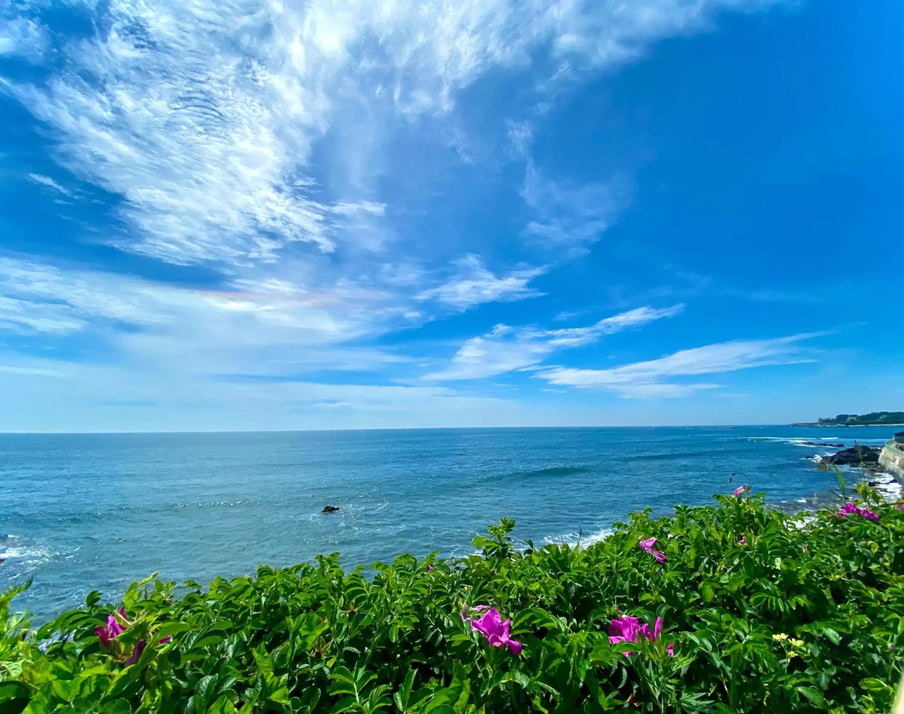 Natural landscape in Atlantic Beach Hotel Newport