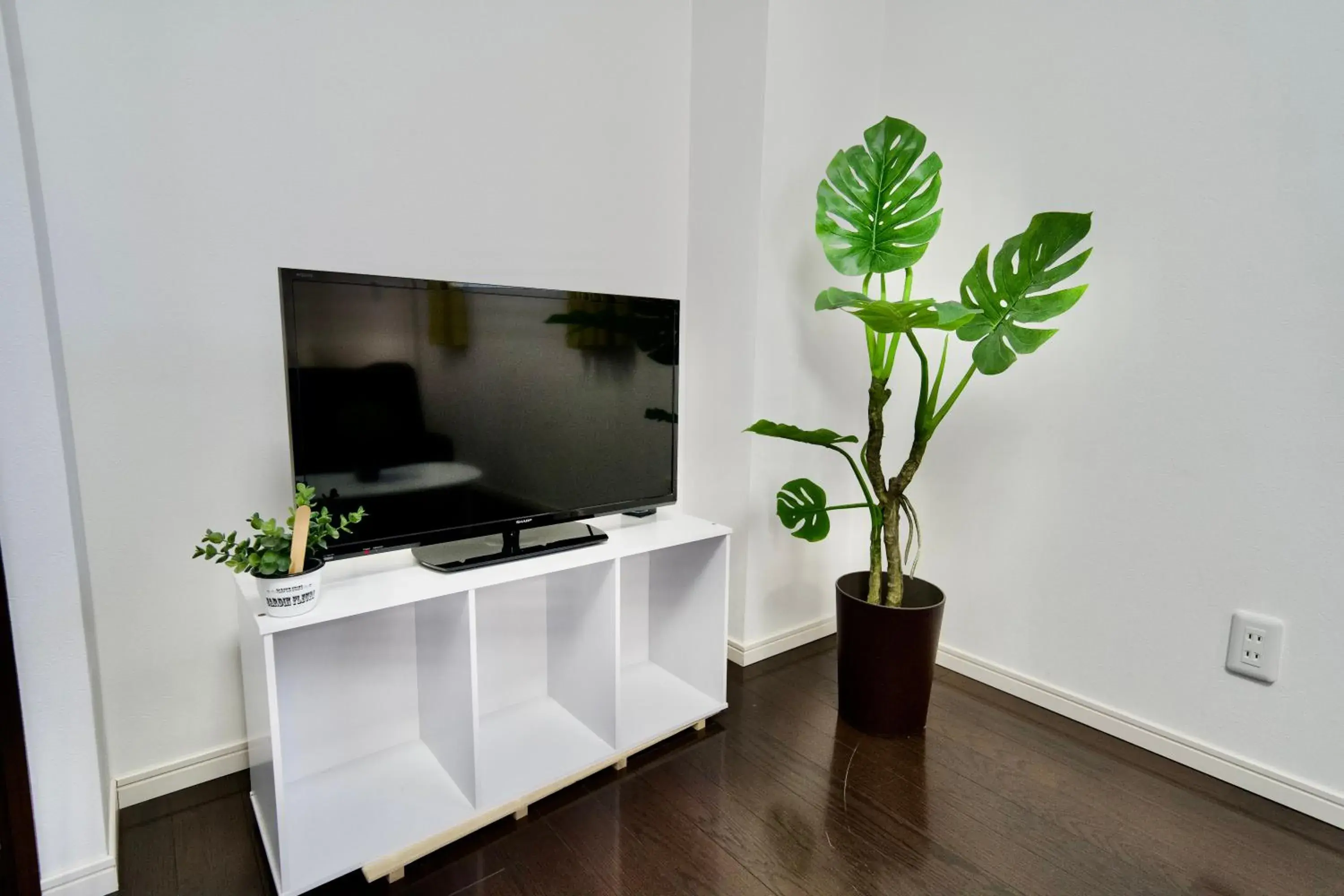 TV and multimedia, TV/Entertainment Center in Villa Izumizaki