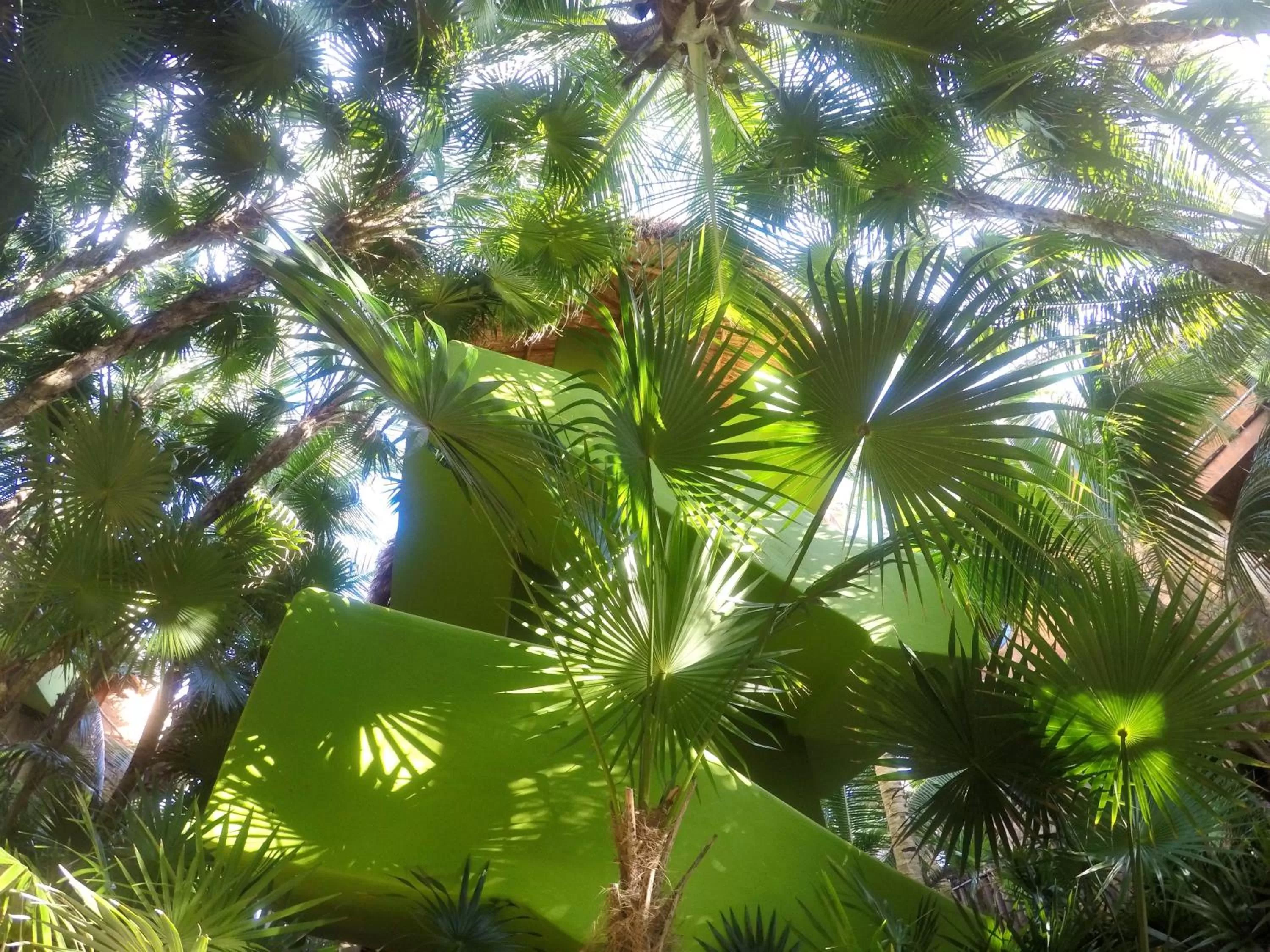 Property building, Pool View in Sueños Tulum