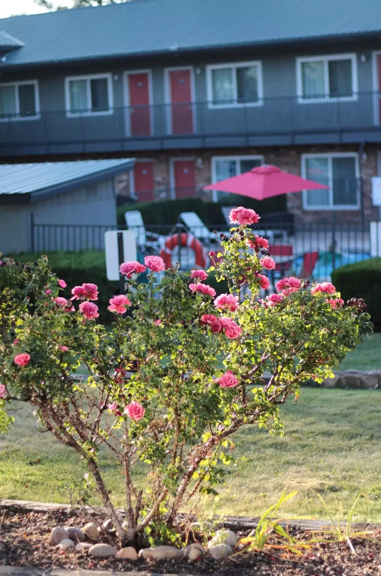 Garden, Property Building in Days Inn by Wyndham Show Low