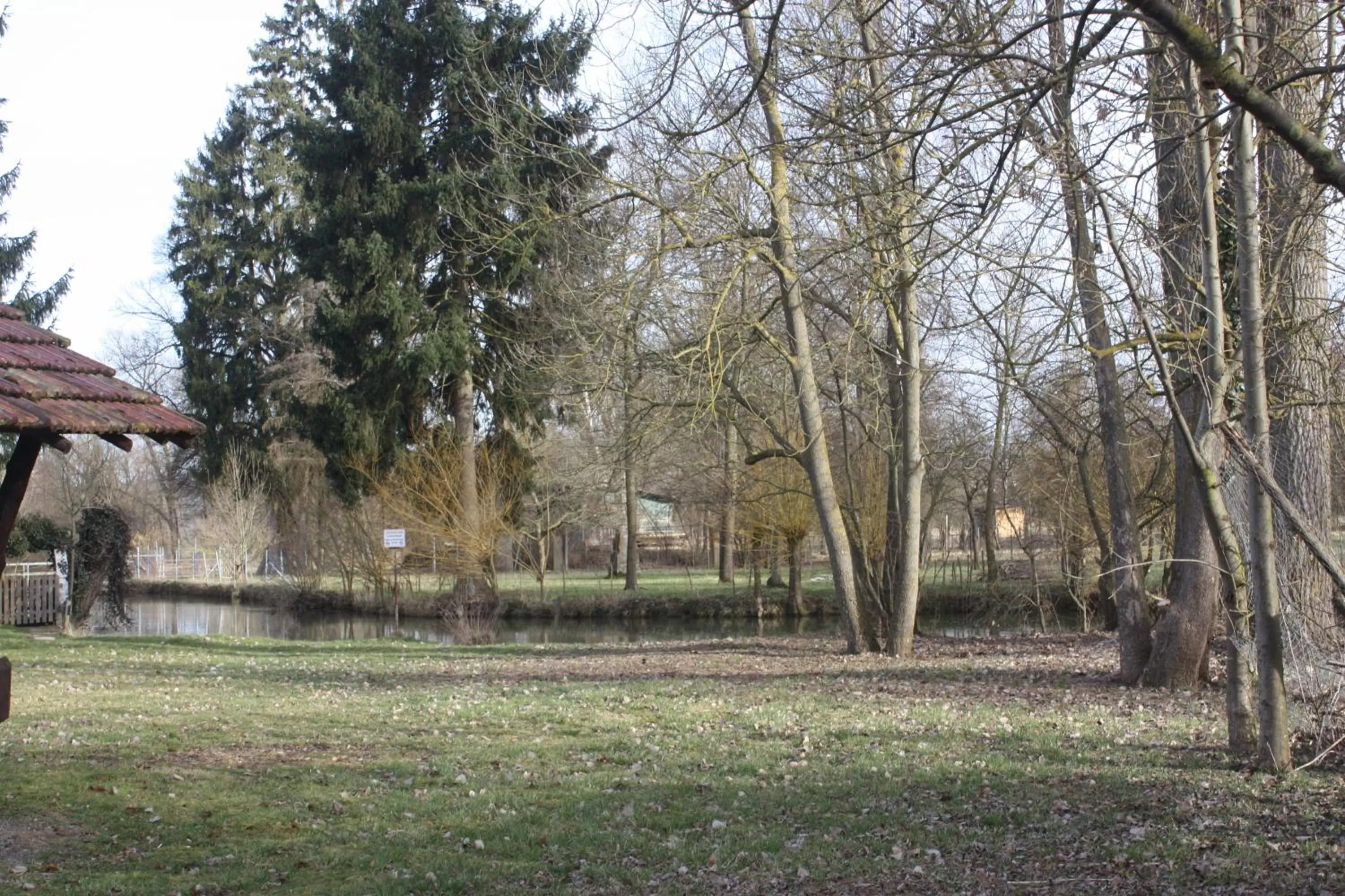 Natural landscape in Landhotel Garni am Mühlenwörth