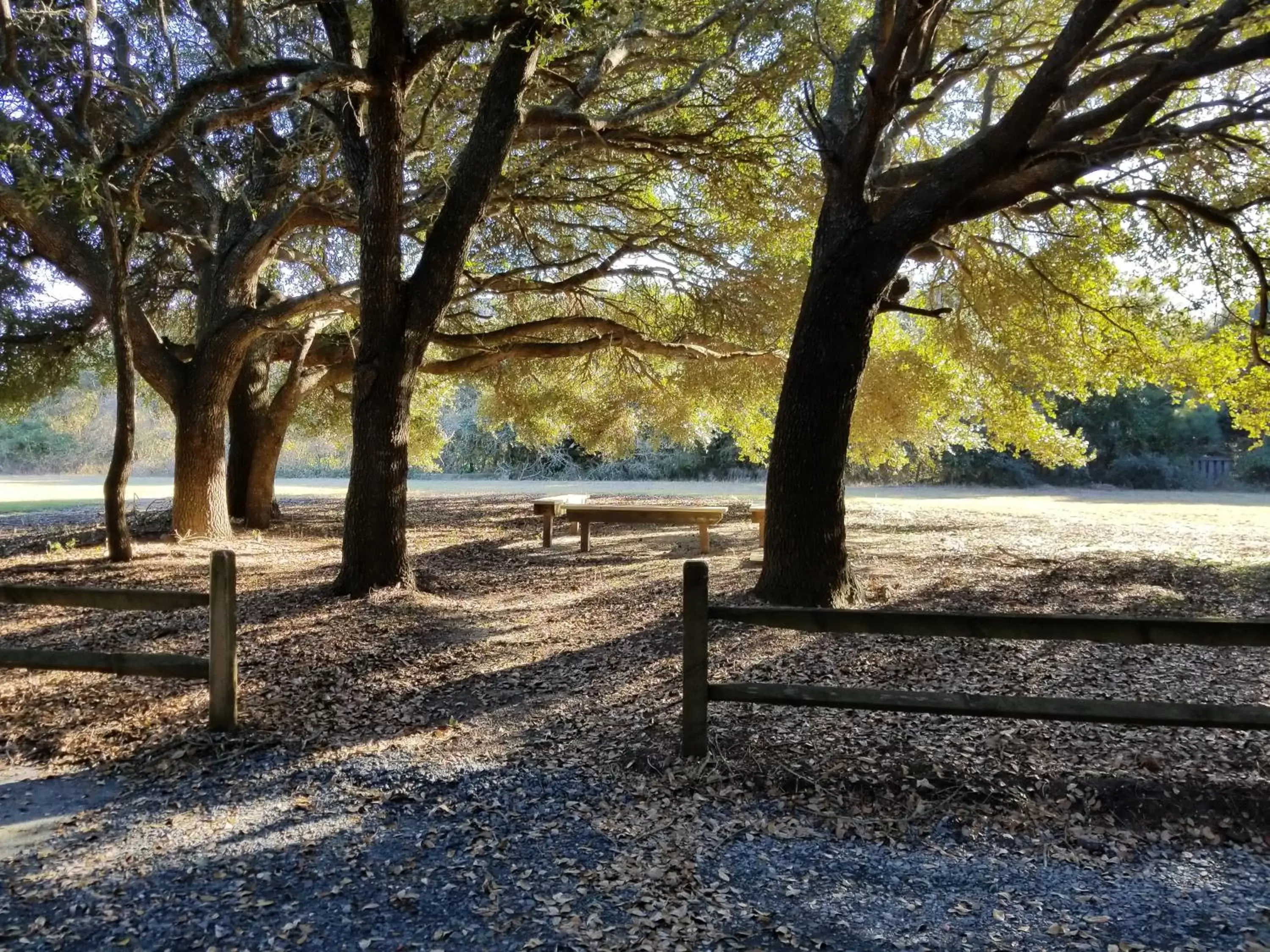 Natural landscape in Ocean Pines Resort by Capital Vacations