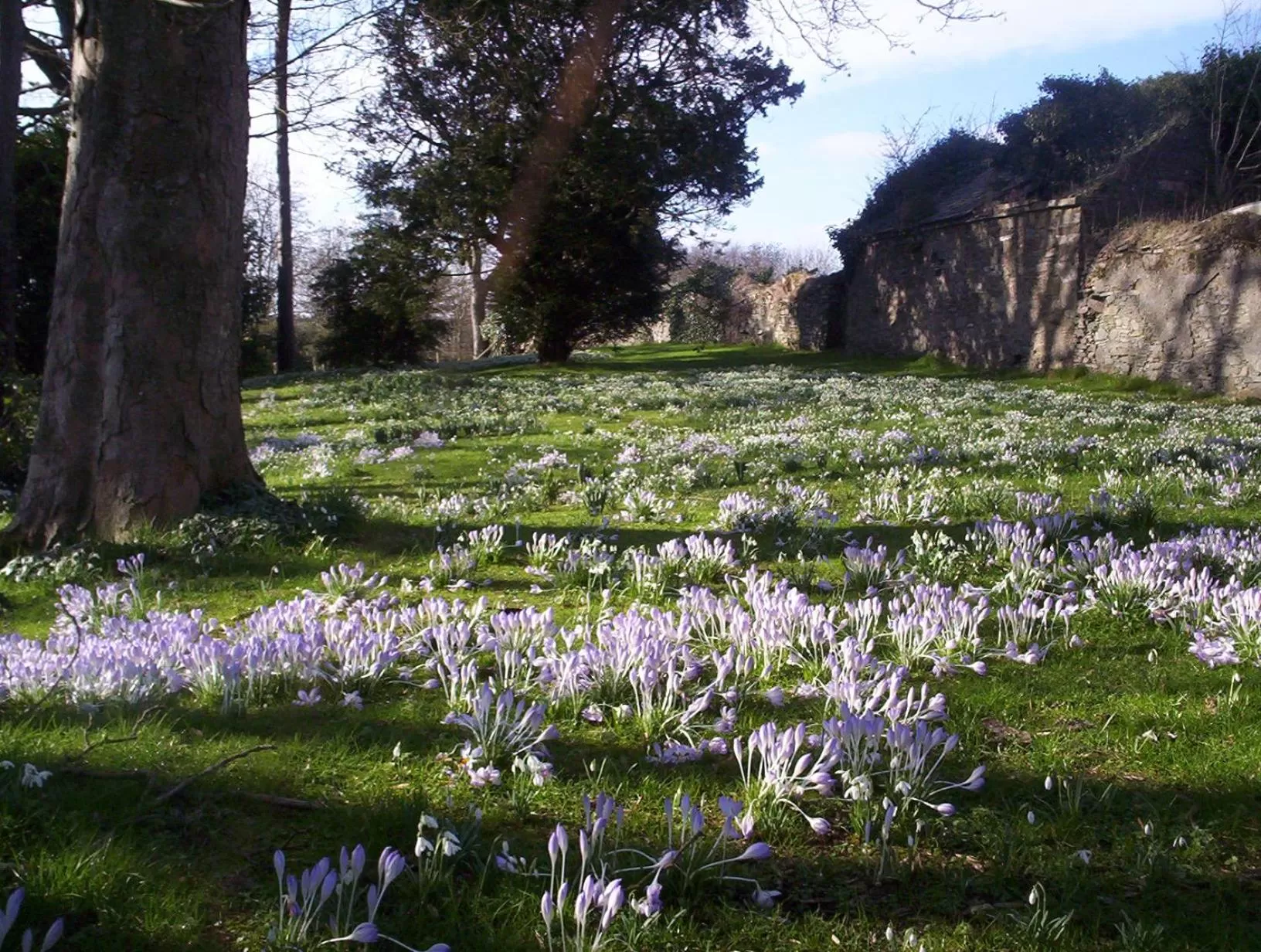 Garden view in Ballymote Country House