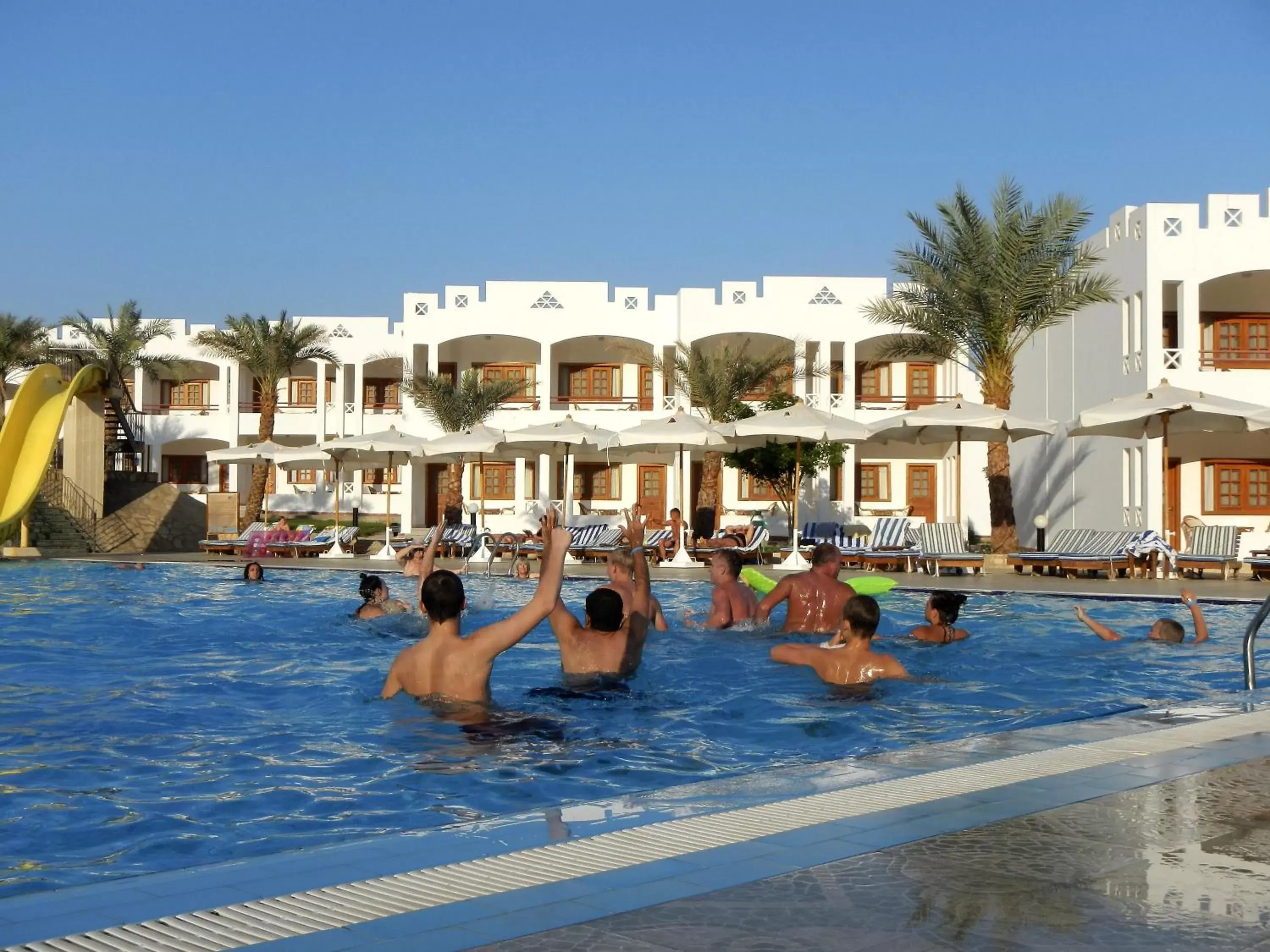 Activities, Swimming Pool in Happy Life Village Dahab