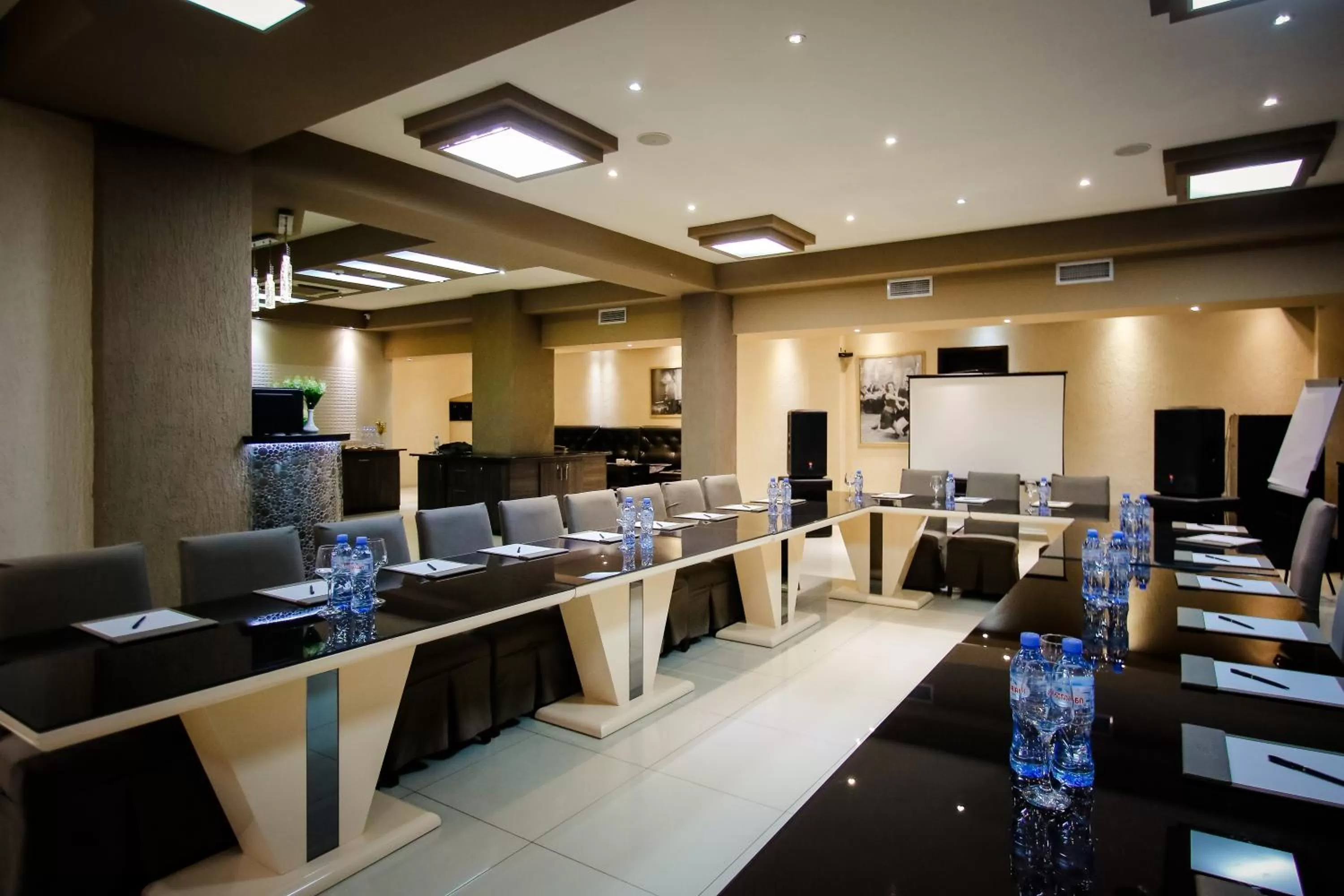 Business facilities in Hotel Orion Tbilisi