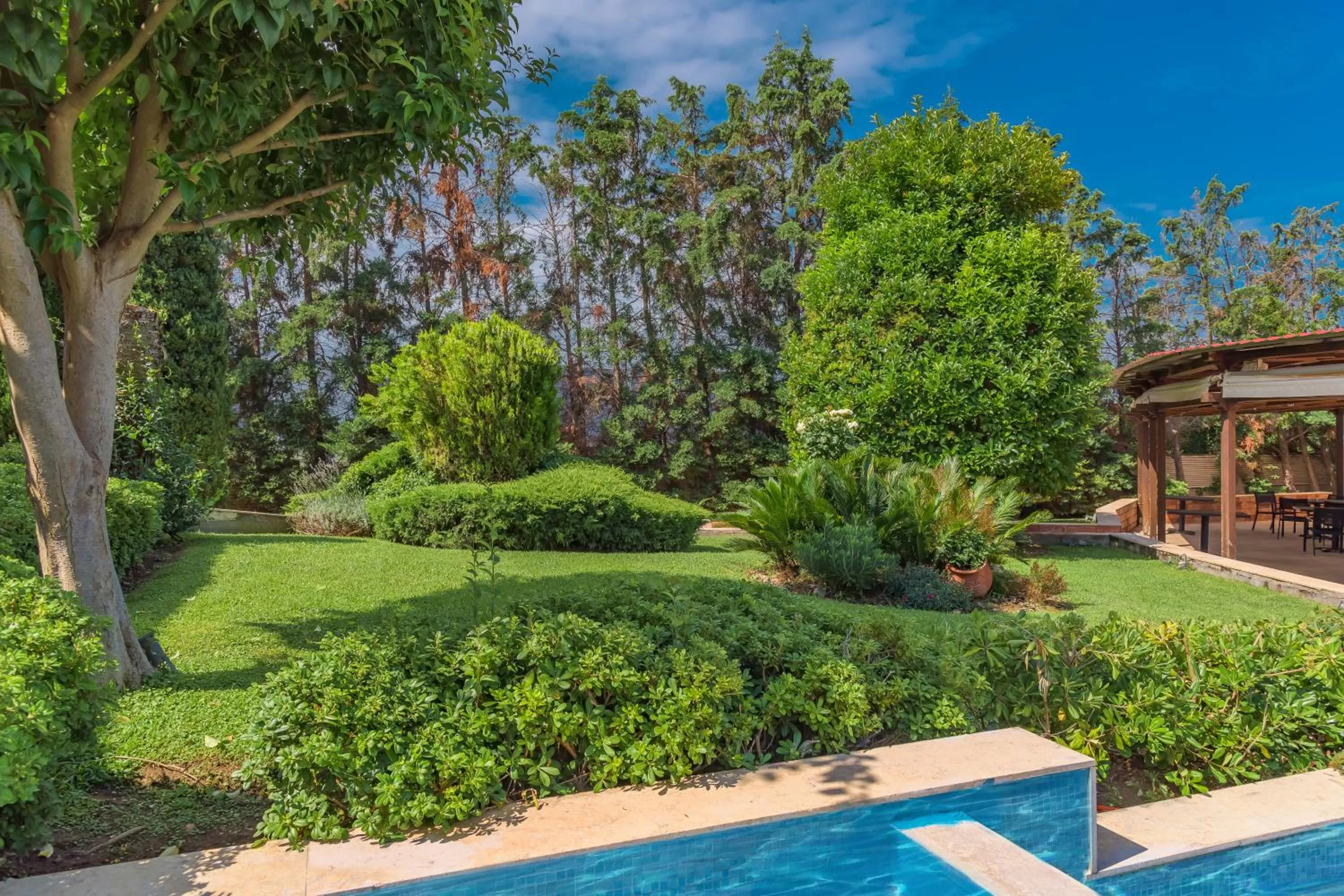 Garden in Avalon Airport Hotel Thessaloniki