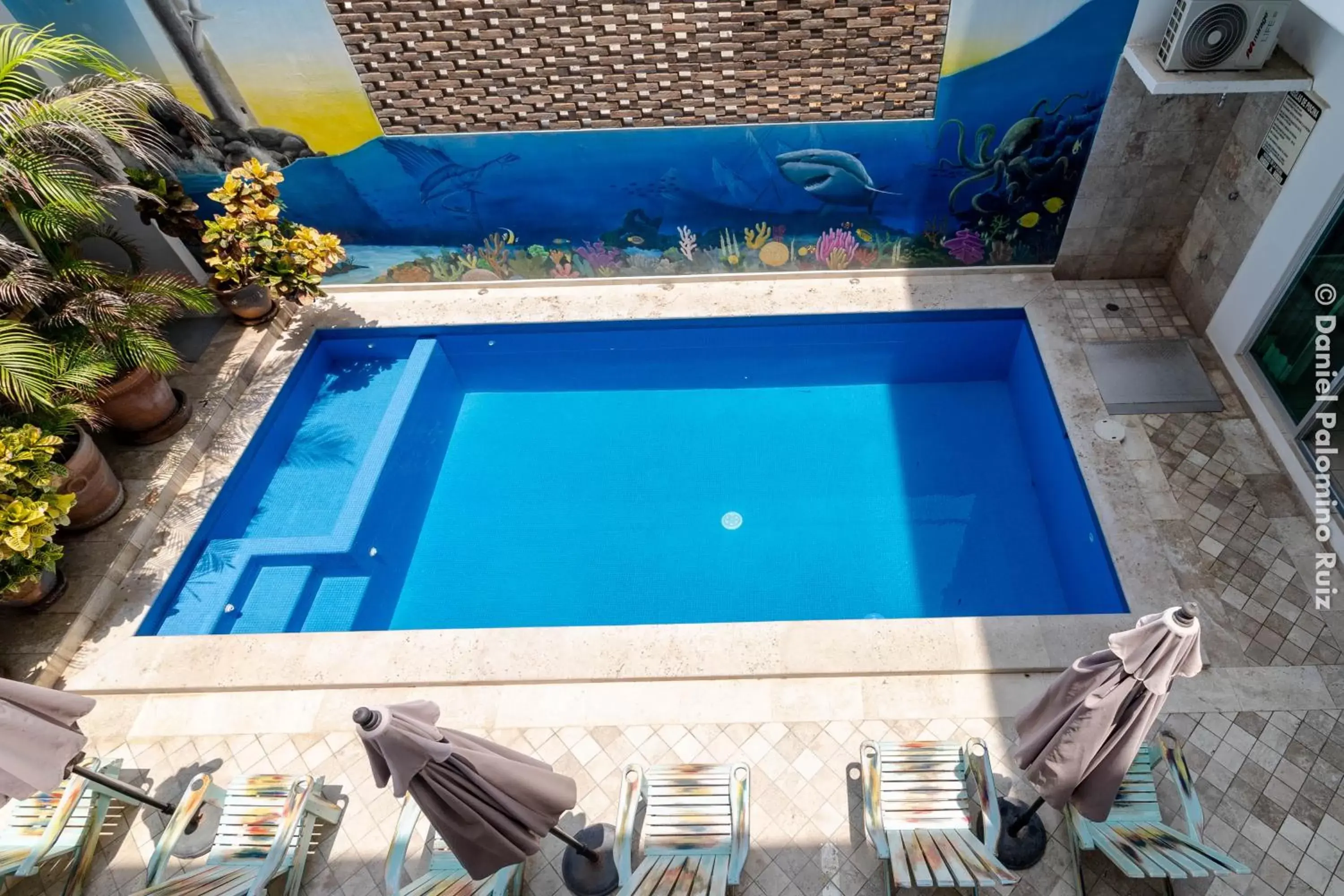 Swimming pool, Pool View in Hotel Casa Pridda
