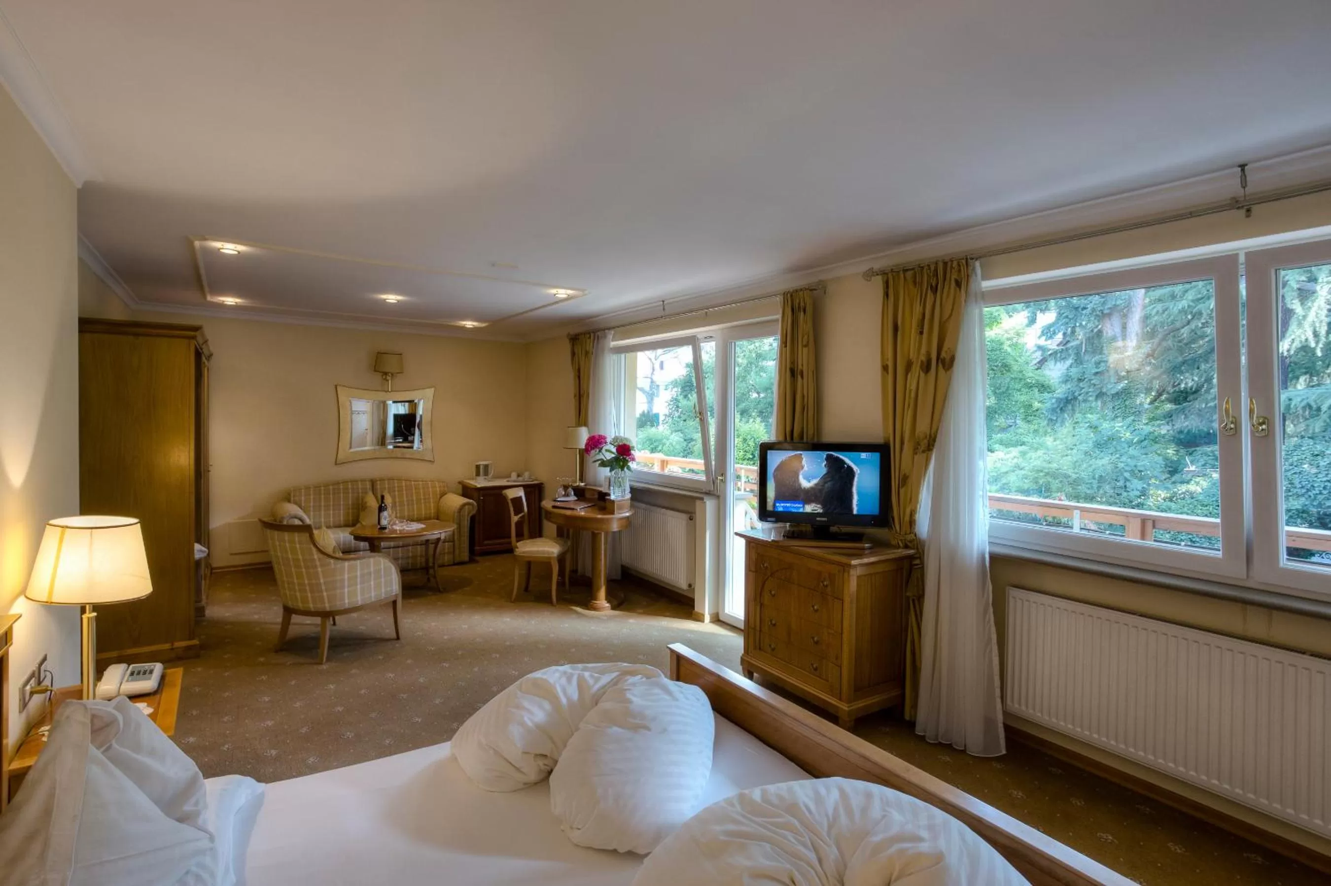 Photo of the whole room in Hotel Aster