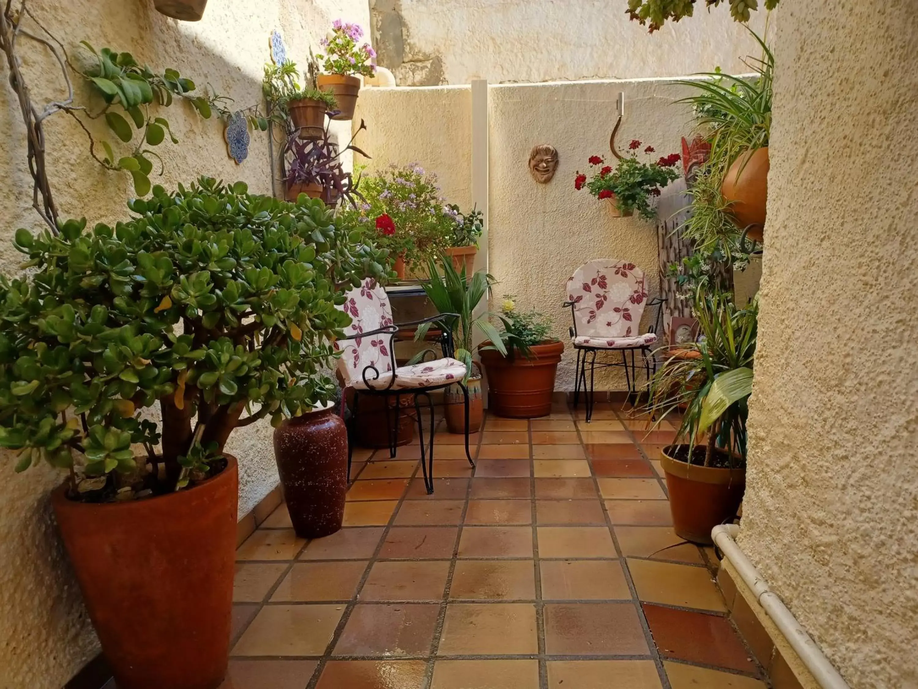 Patio in Casa Rural B&B Casamedico