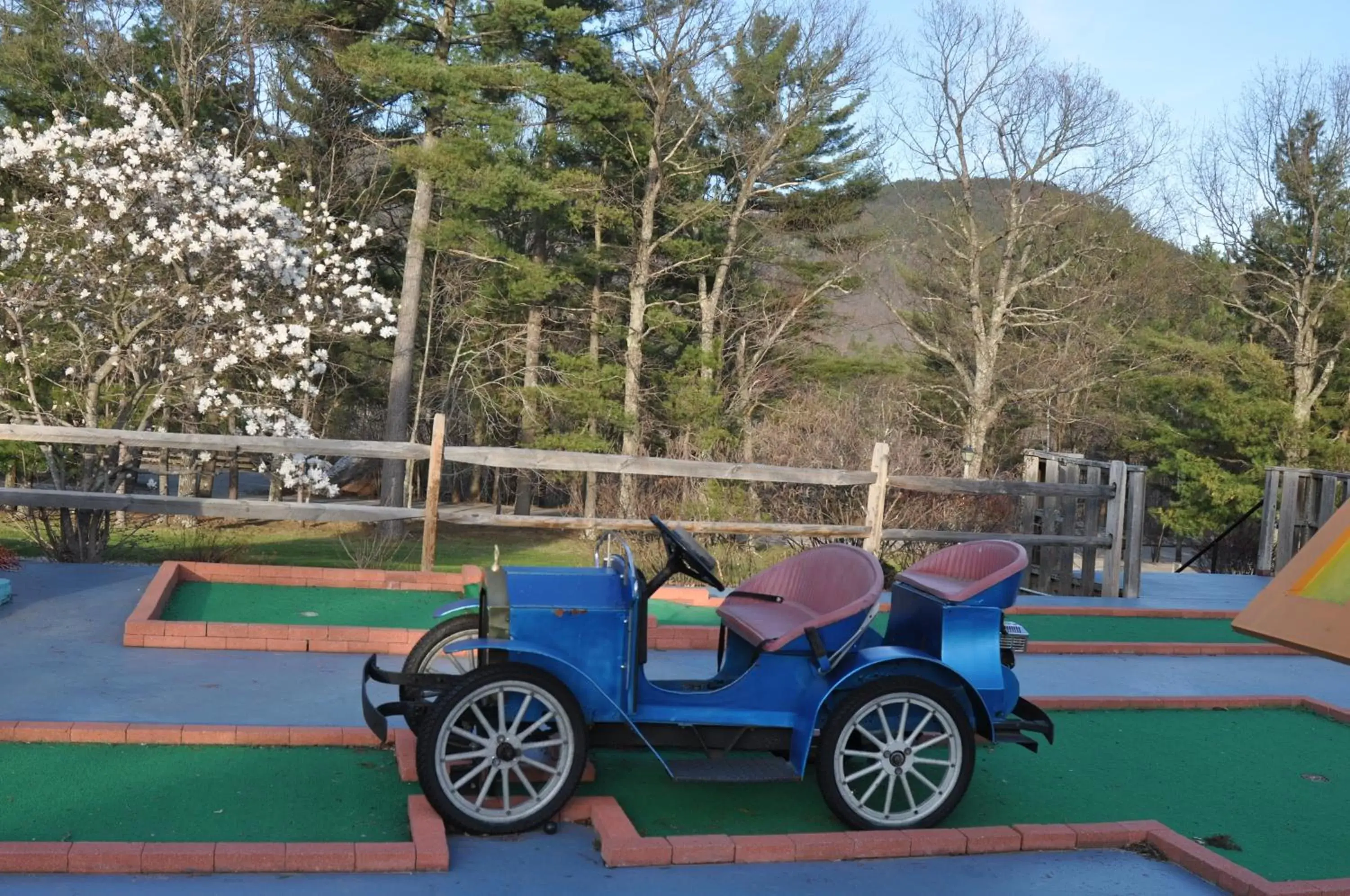 Minigolf in Fox Ridge Resort