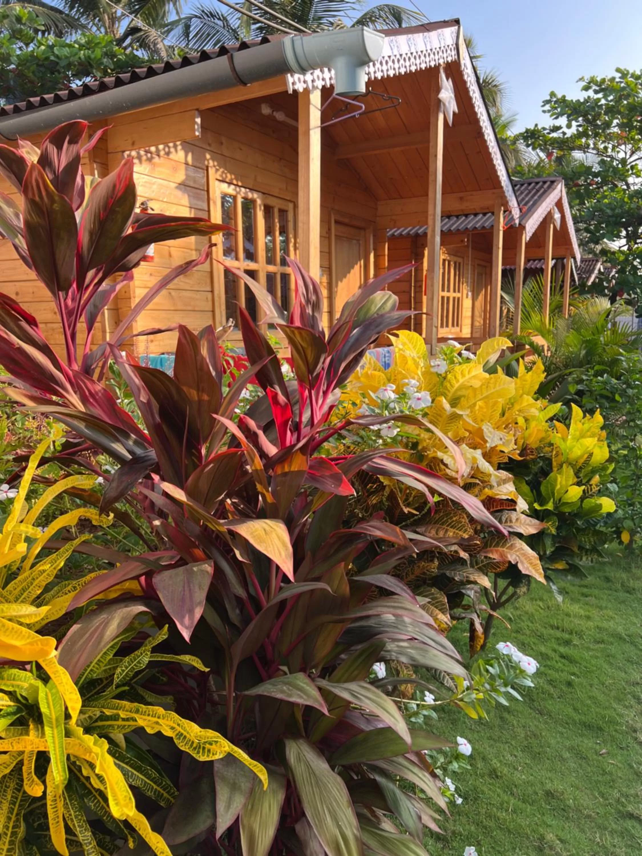 Day in Happy Shack Beach And Wooden Huts