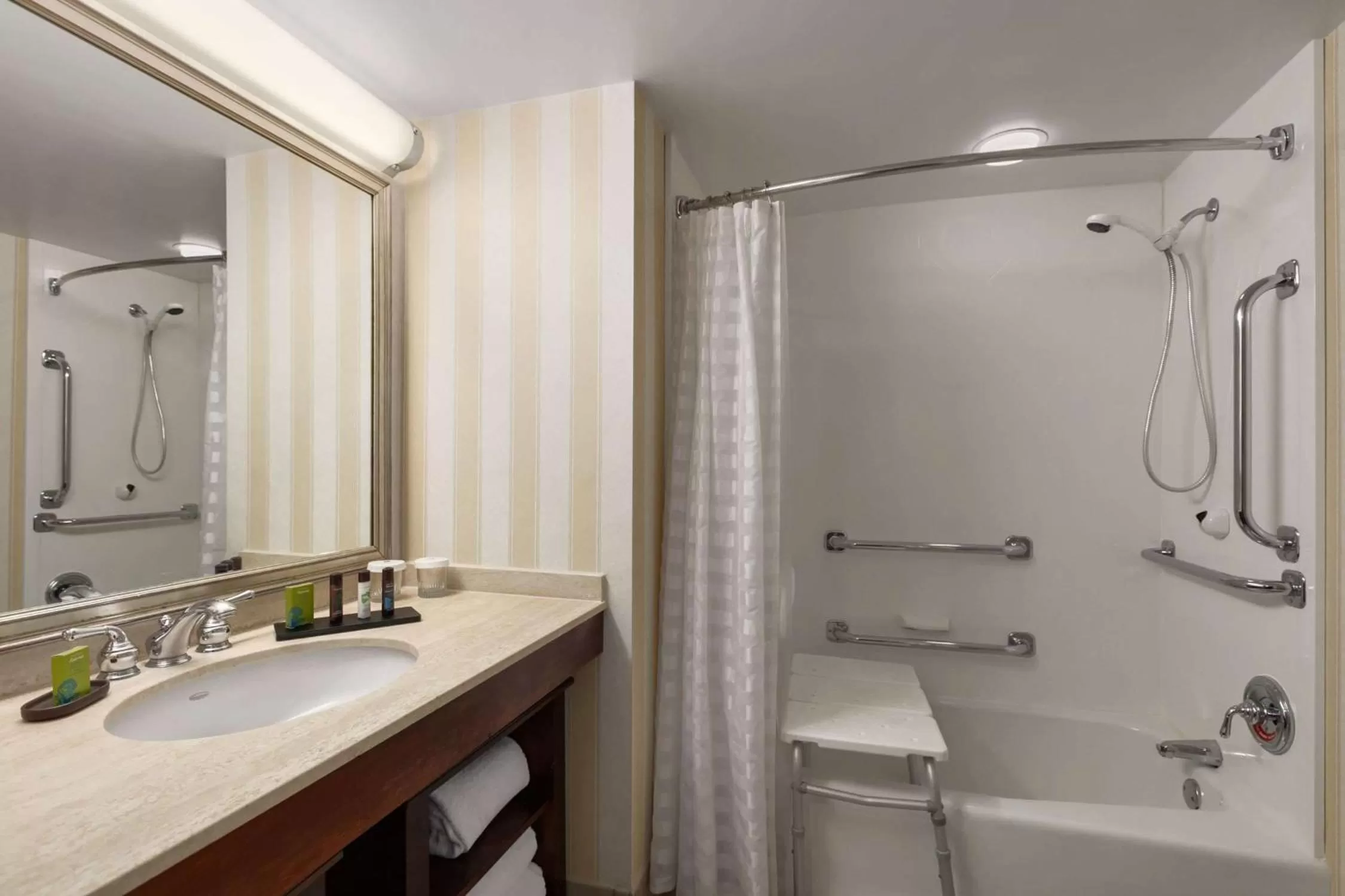 Bathroom in Embassy Suites by Hilton Baltimore at BWI Airport