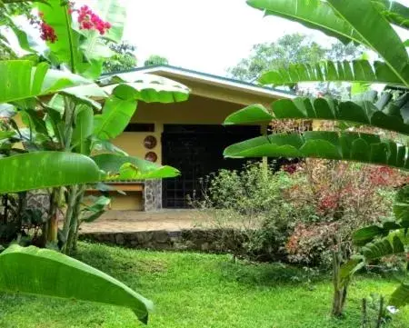 Garden in Pura Vida Hotel