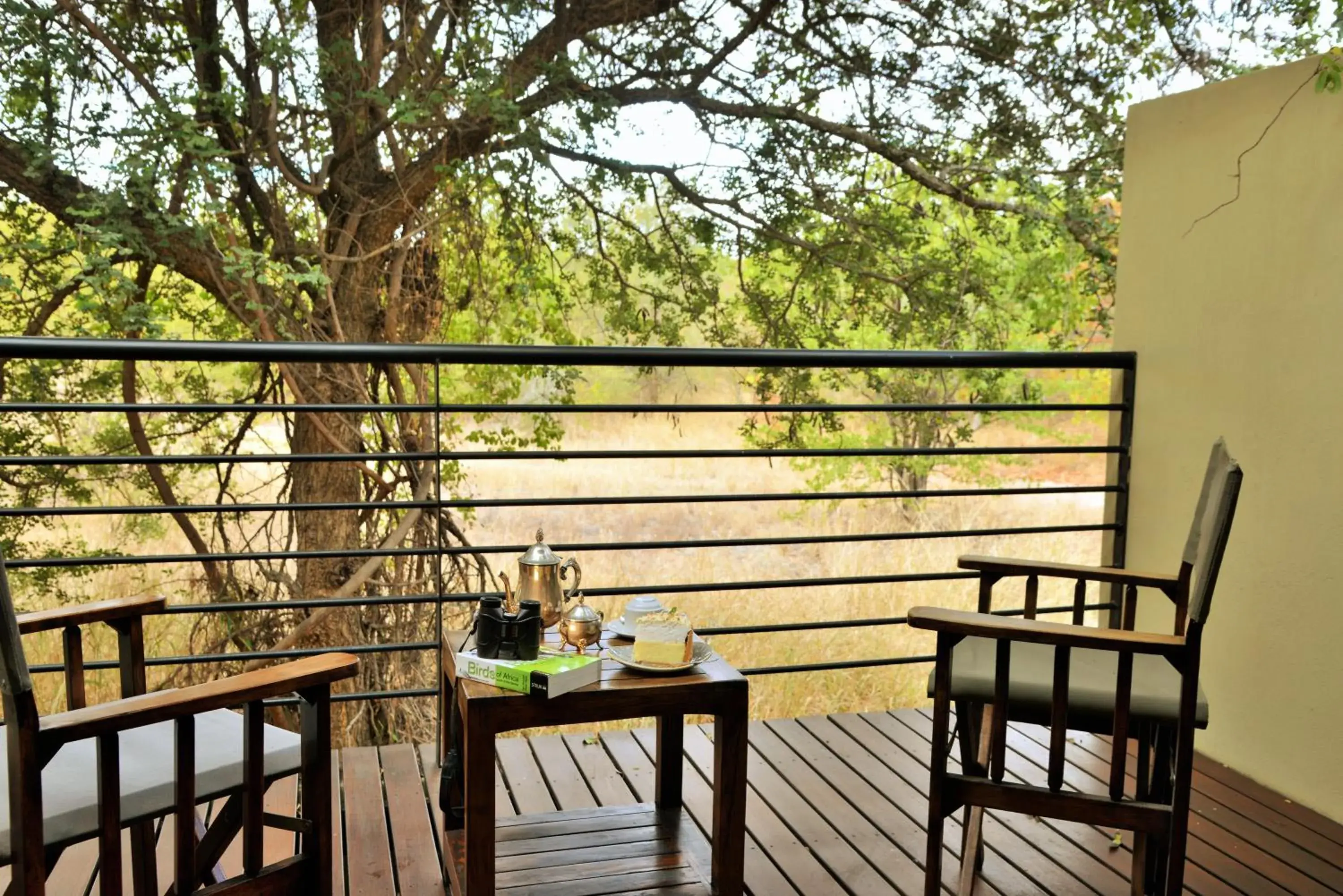 Balcony/Terrace in Bushveld Terrace - Hotel on Kruger