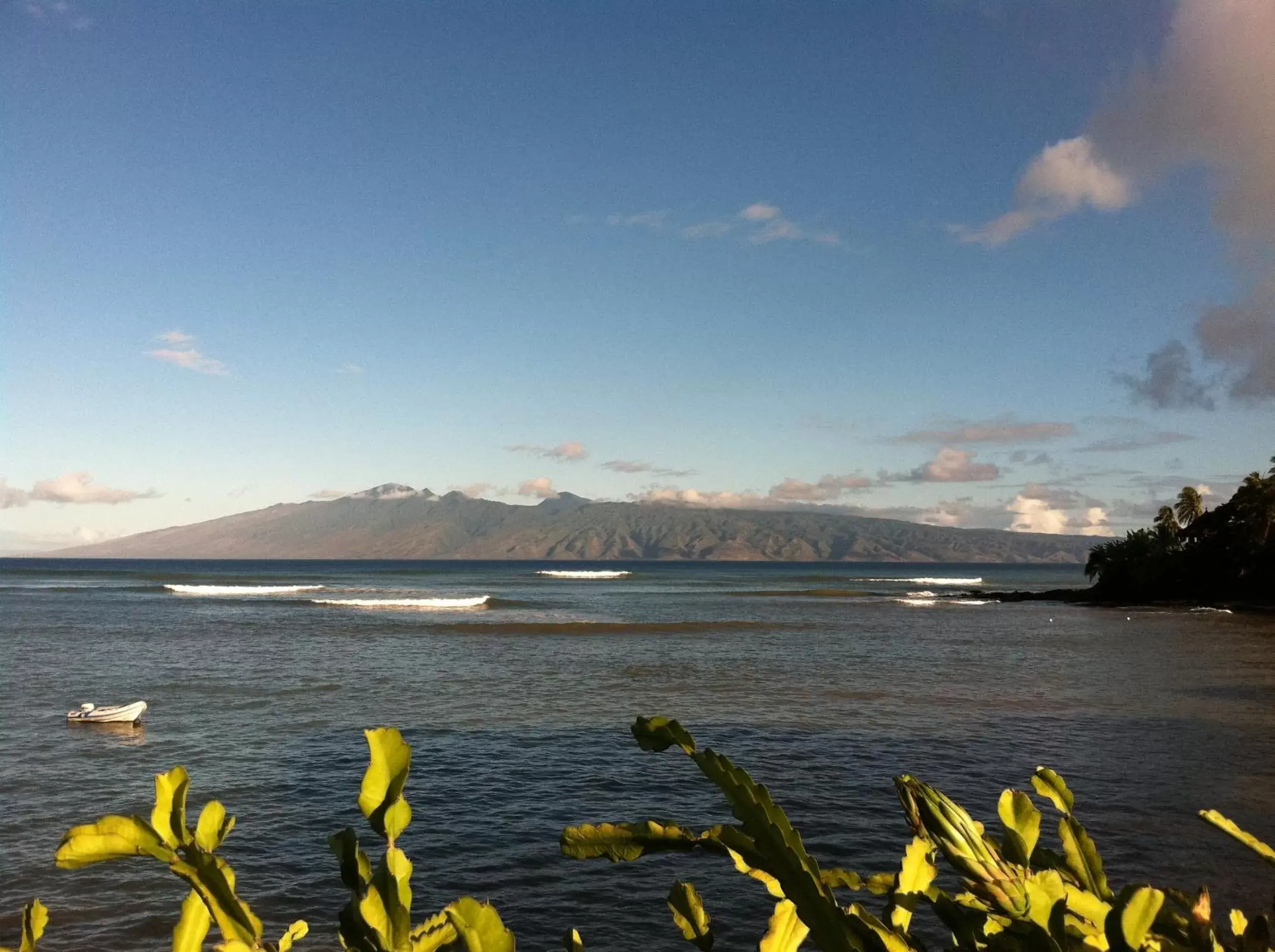 Neighbourhood in Maui Beach House B & B