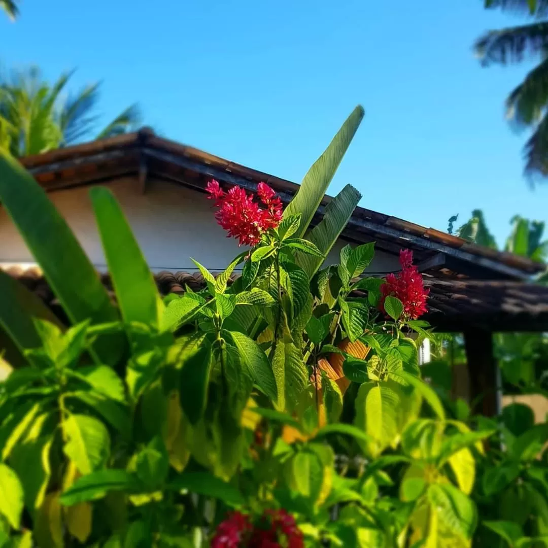 Garden in Pousada Villages Boutique Hotel - 150m da Praia da Laje