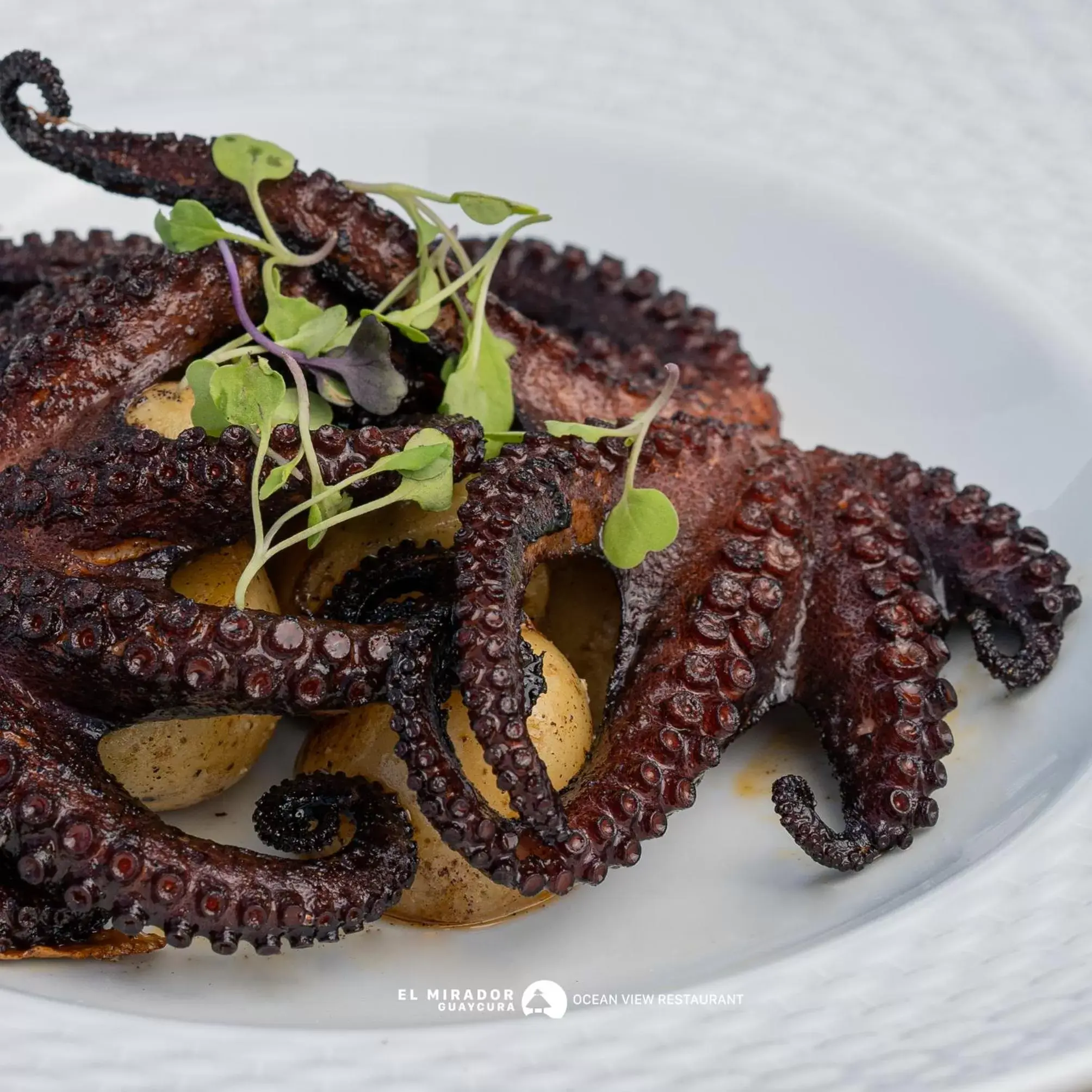 Food close-up, Food in Guaycura Boutique Hotel, Beach Club & Spa