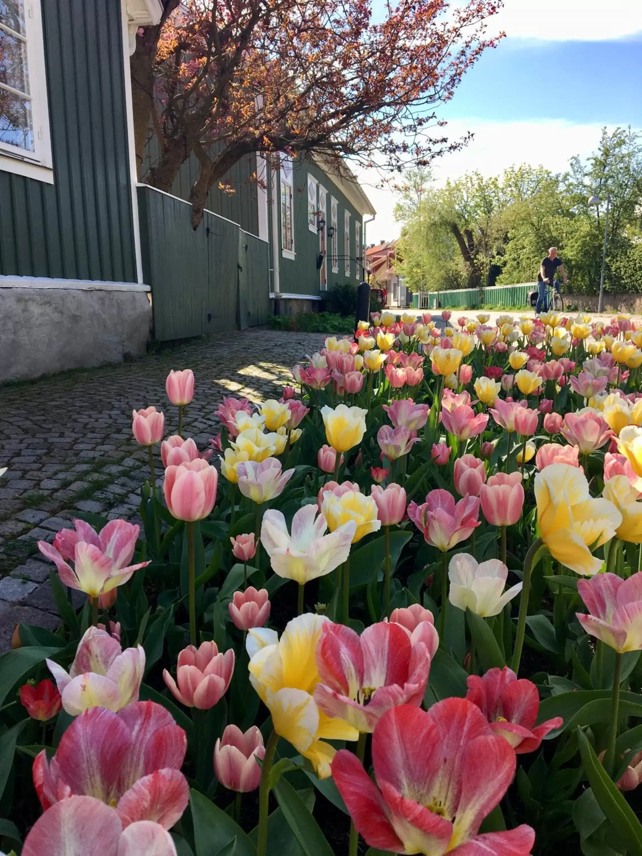 Neighbourhood, Garden in Hotell Hamngatan 27