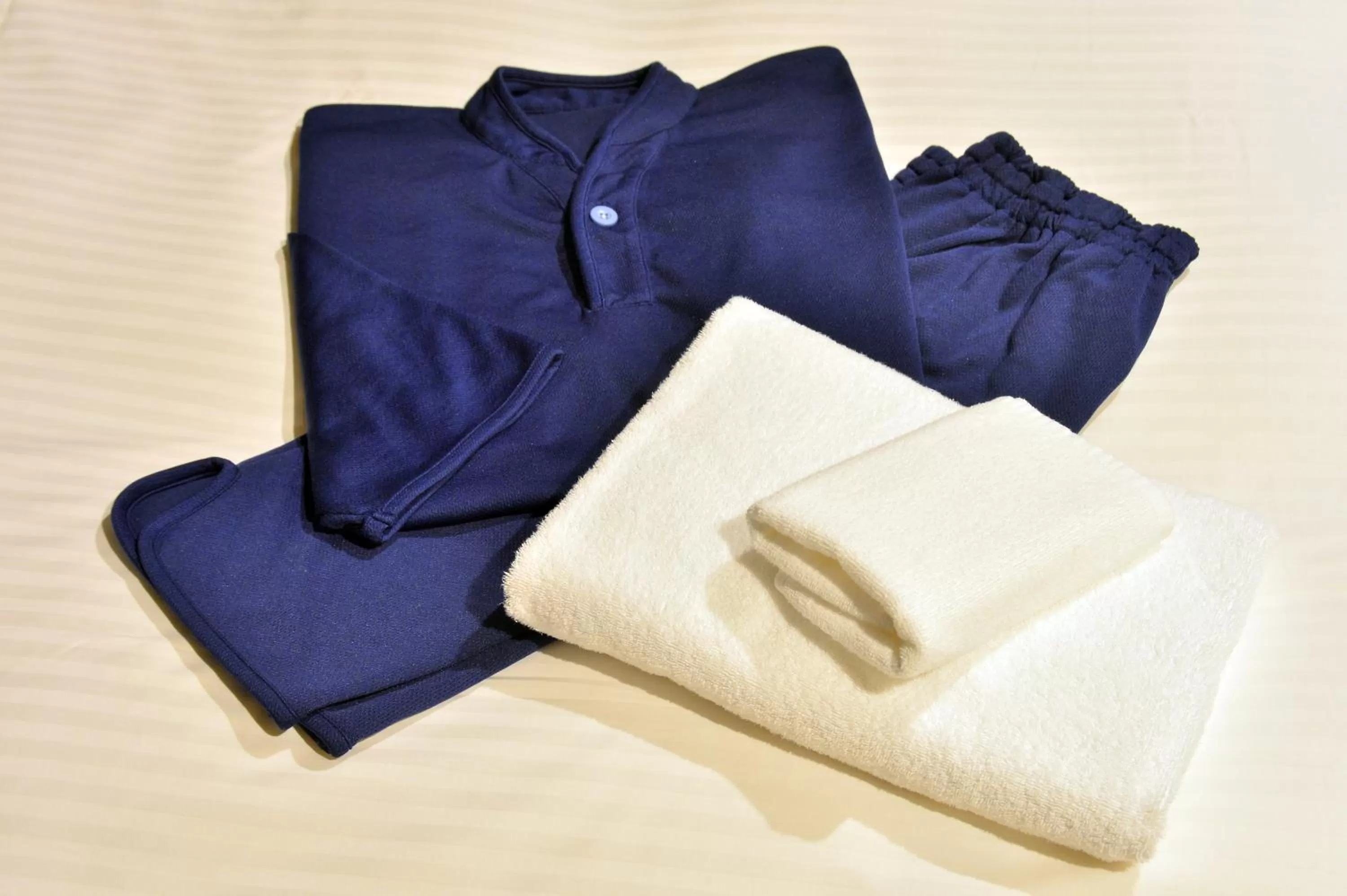 Photo of the whole room in LC Goryokaku Hotel