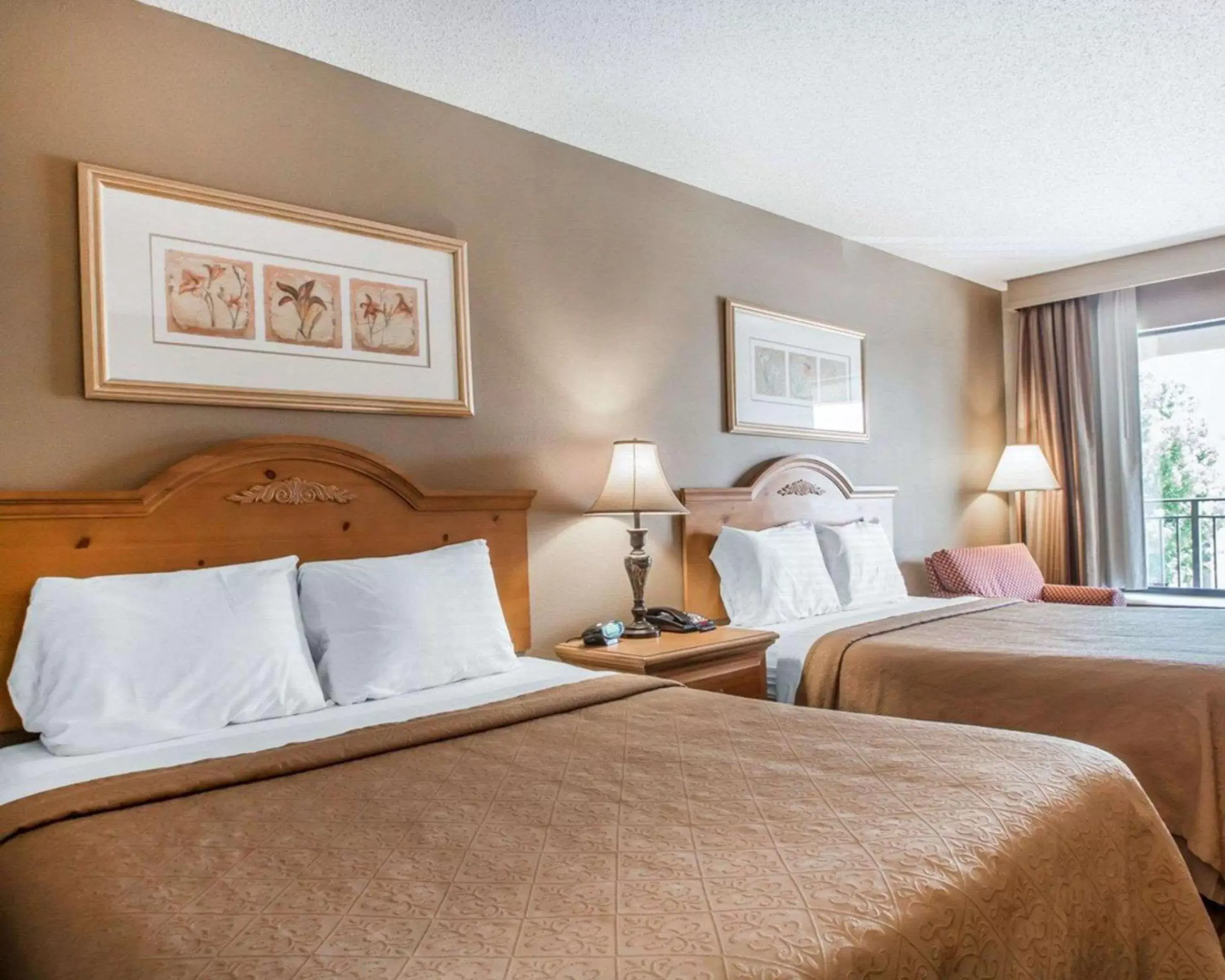 Photo of the whole room, Bed in Quality Inn US65 & E Battlefield Rd Springfield Photo of the whole room, Bed in Quality Inn US65 & E Battlefield Rd Springfield