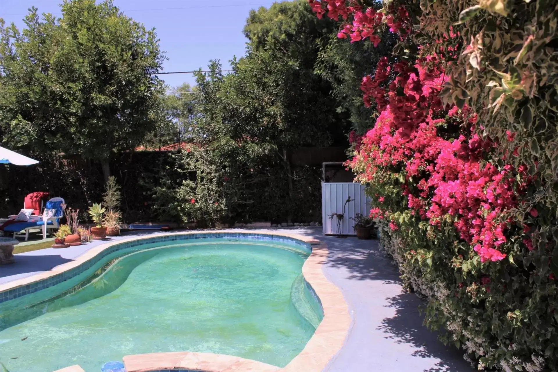 Garden, Swimming Pool in Sweet Dreams B&B LA