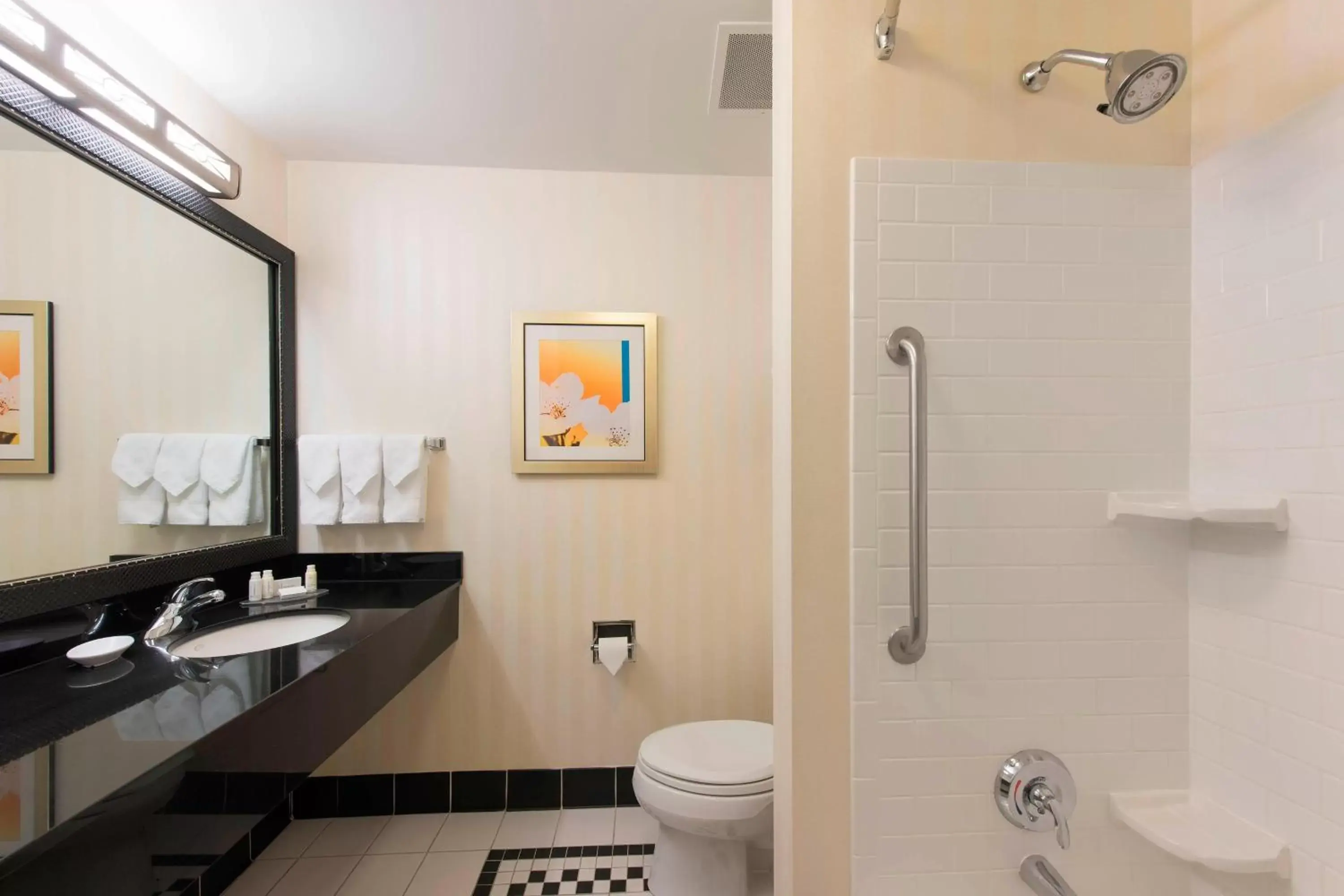 Bathroom in Fairfield Inn & Suites by Marriott Omaha Downtown