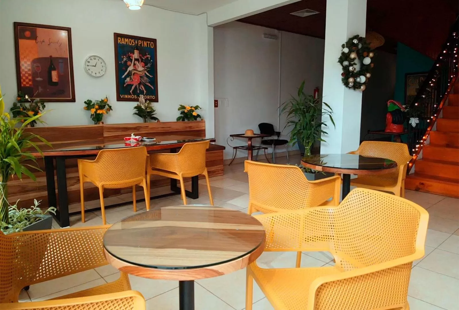 Dinner in Trebol Amarillo Bed & Breakfast