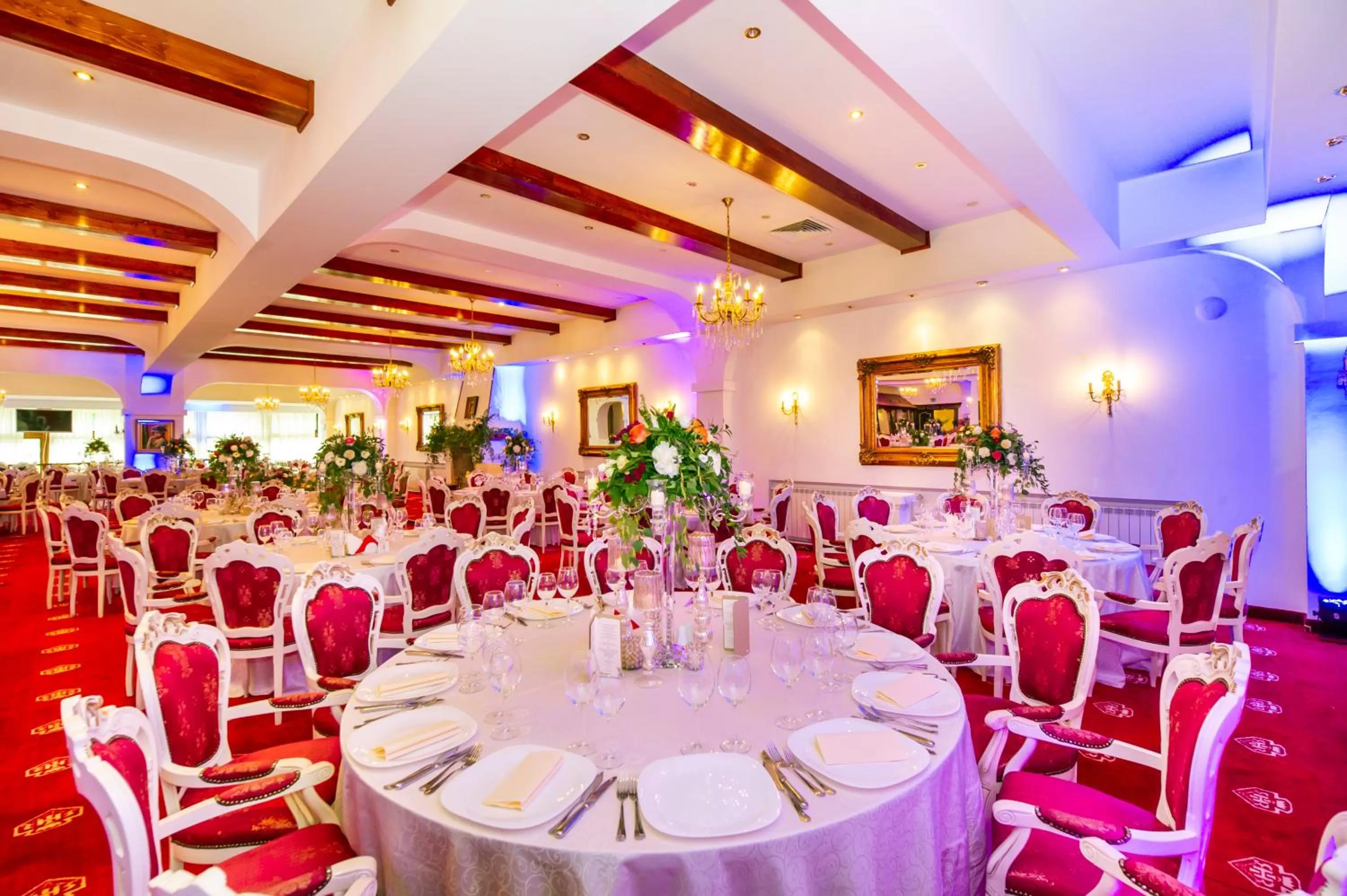 Banquet/Function facilities in Aurelius Imparatul Romanilor Hotel & SPA