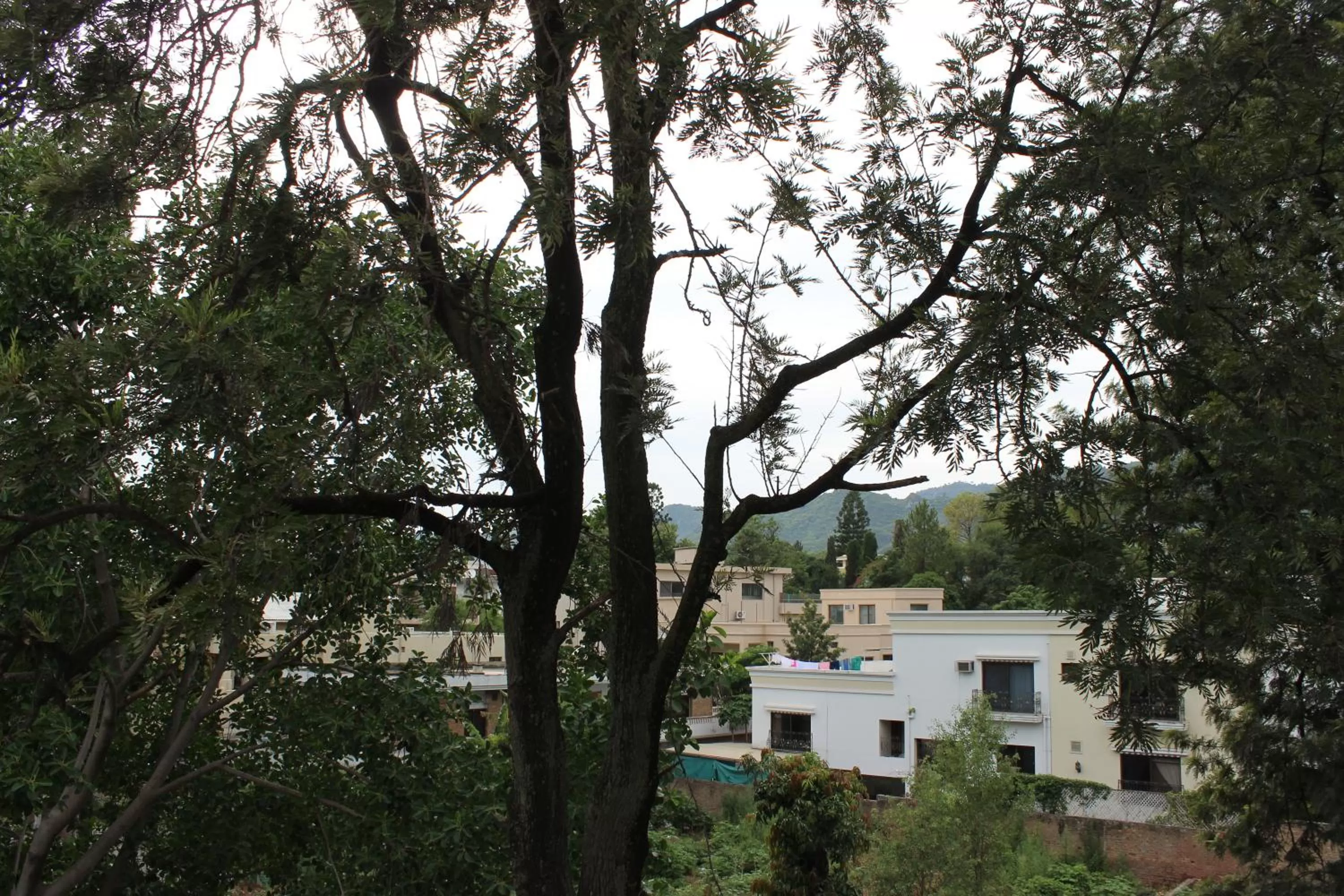 Property building in S Chalet Islamabad