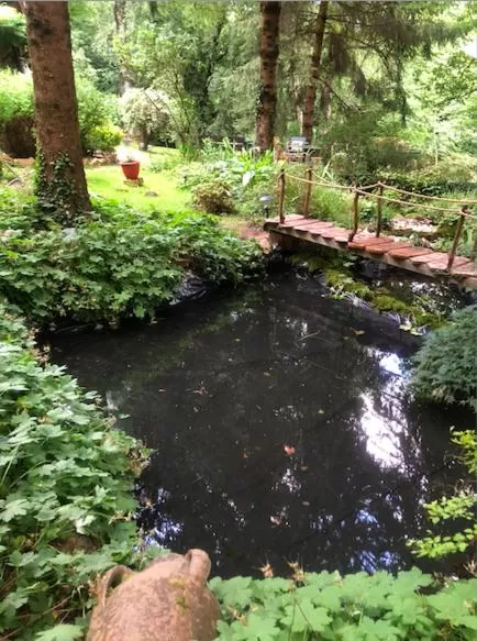 Garden in Chambre d'hôte txaleta (le Chalet)