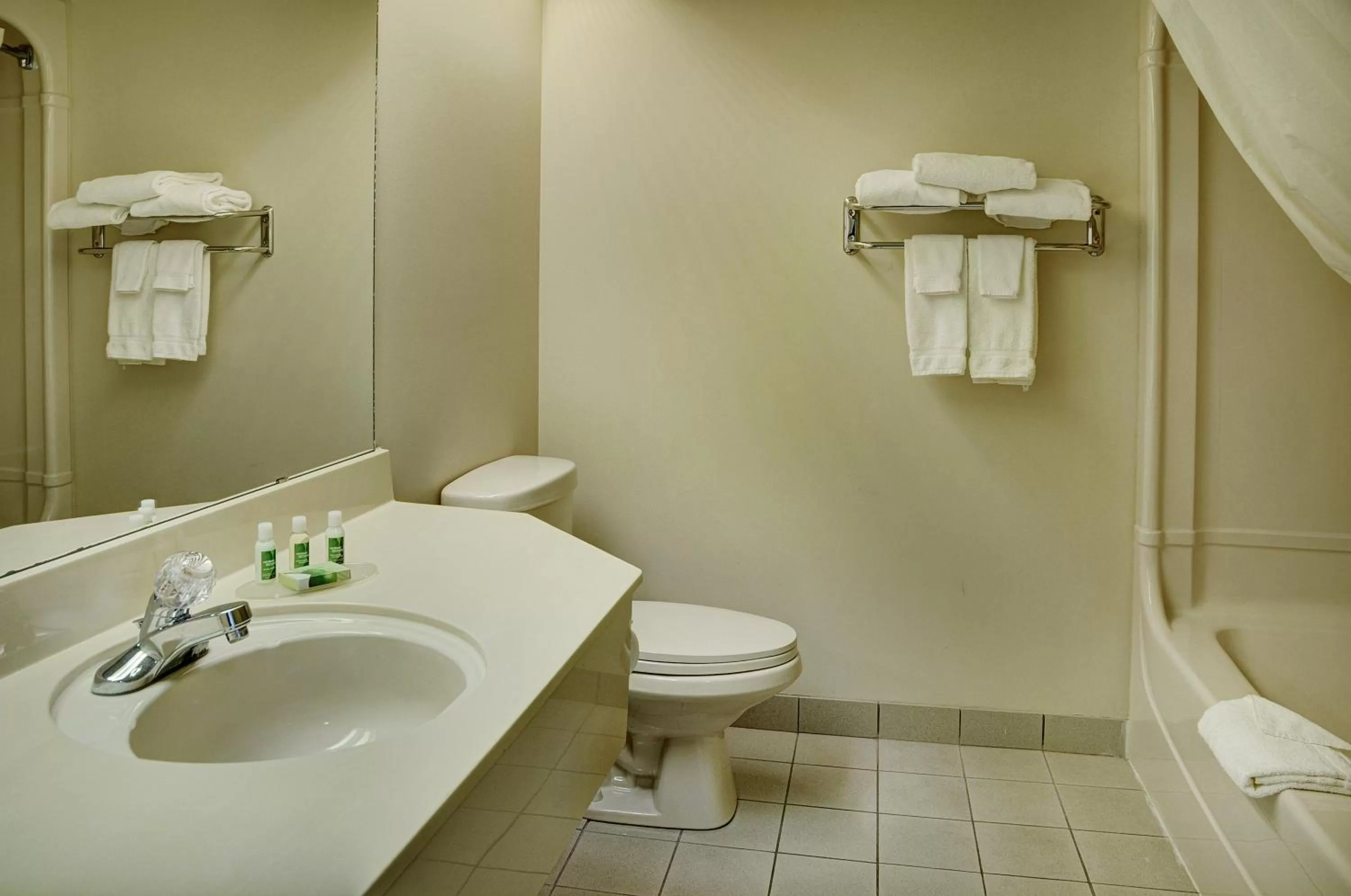 Shower in Lakeview Inns & Suites - Brandon