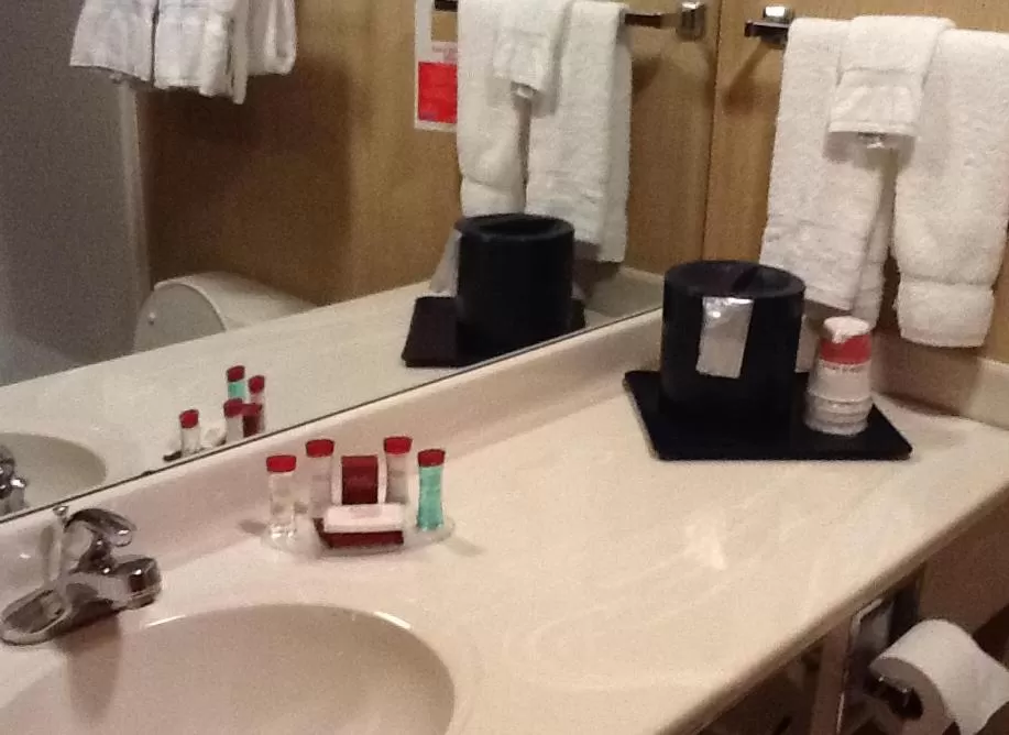 Bathroom in Ramada by Wyndham Catlettsburg Ashland